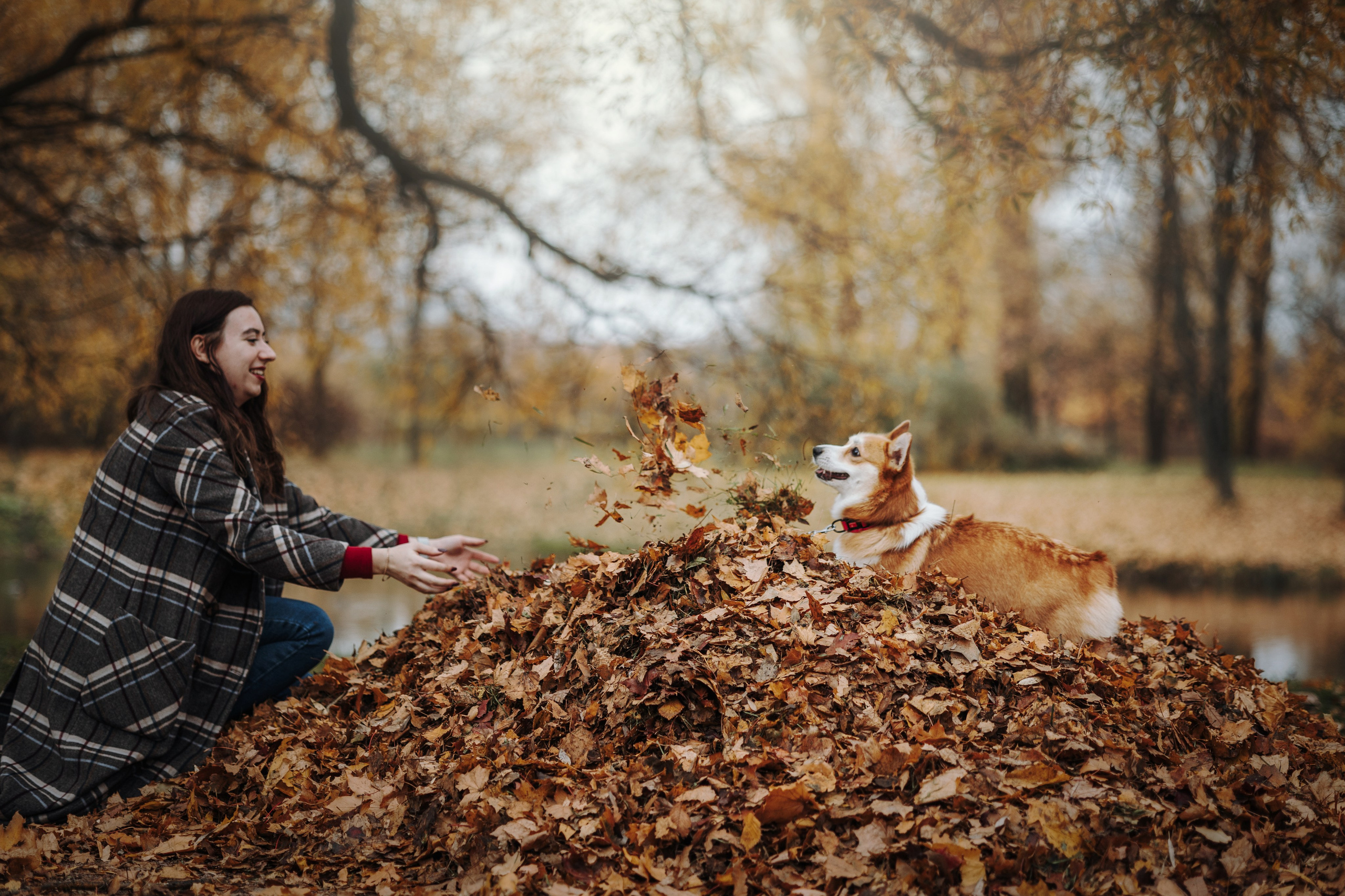 Юля и Терри. Фотограф — Анималист | Санкт-Петербург