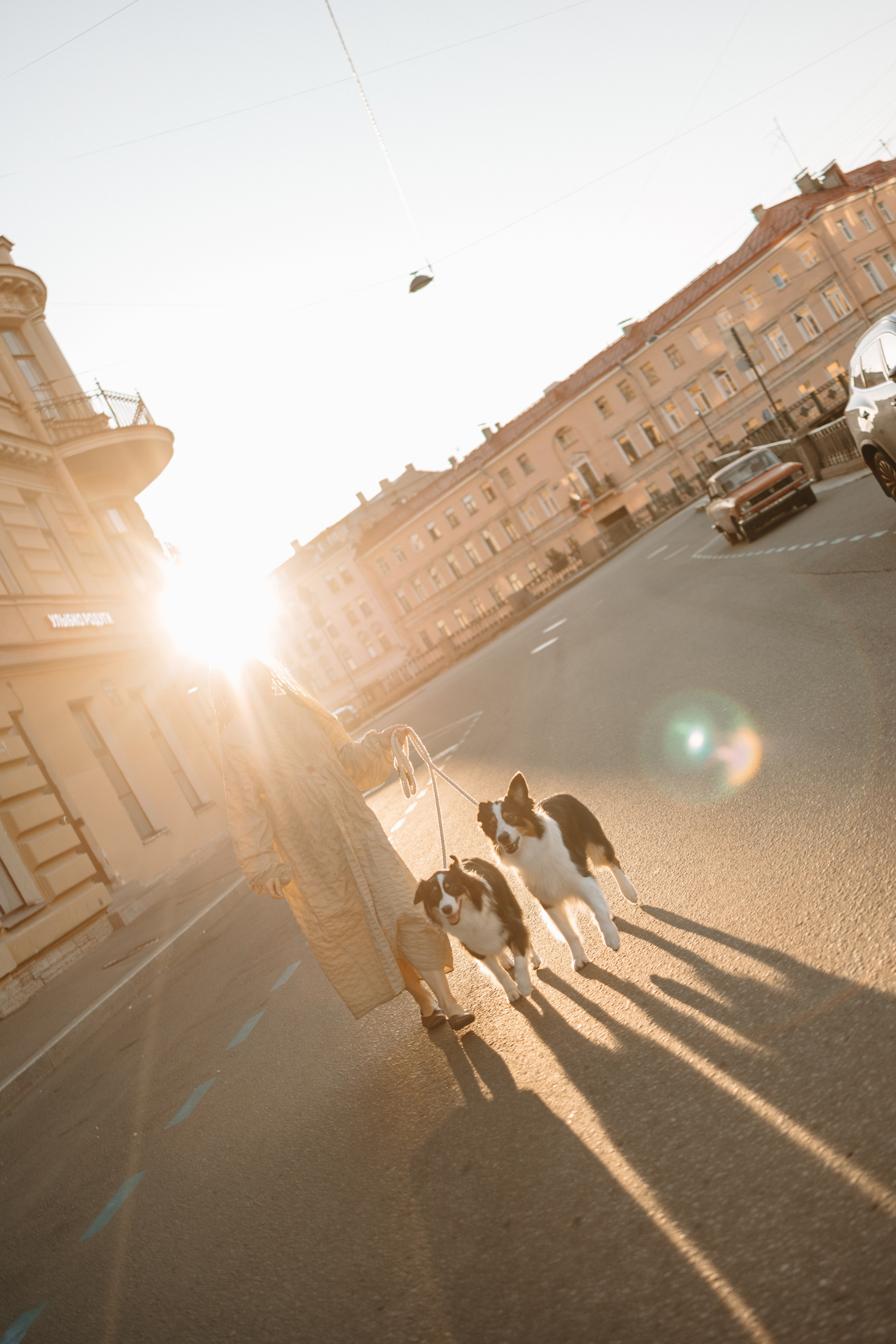 Катя и ее девочки. Фотограф — Анималист | Санкт-Петербург