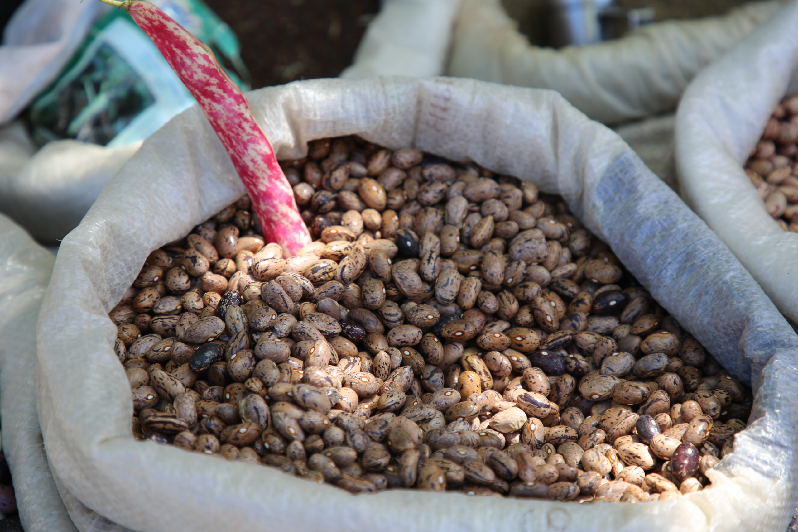 Espihnio, Portugal. Andrey Filippov Photographer
