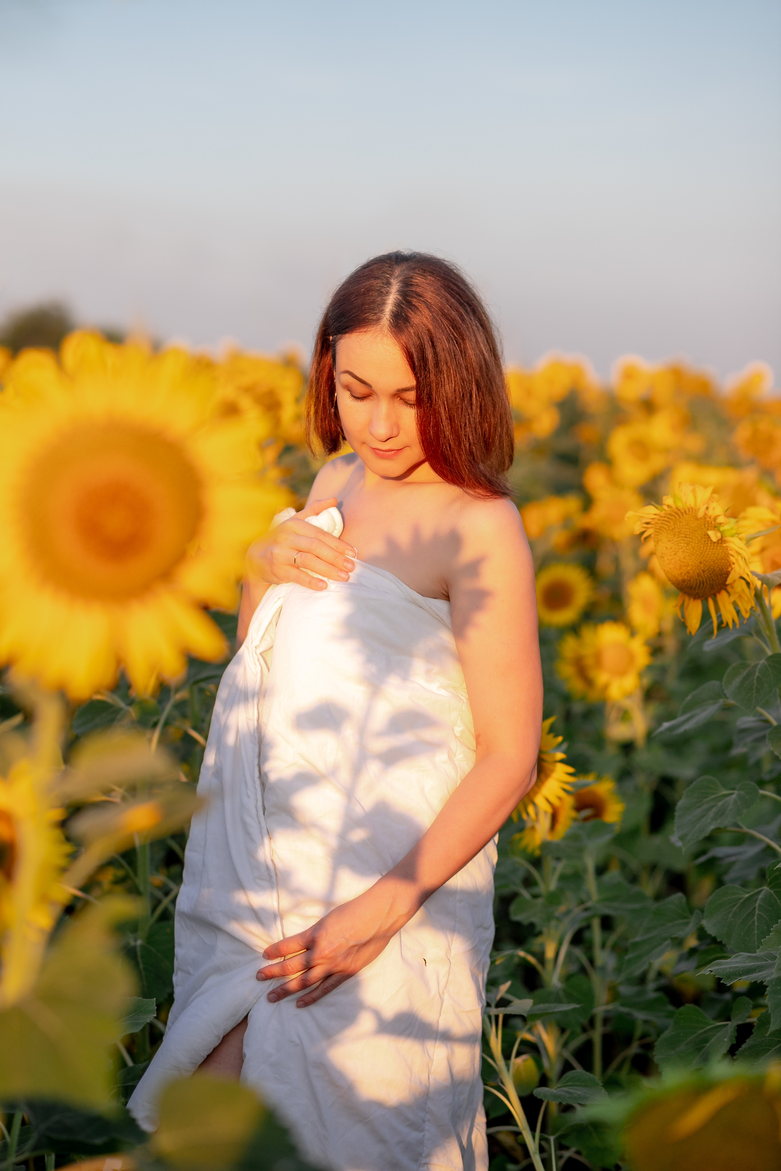 Подсолнухи. Фотограф Кравченко Юлия. Энгельс