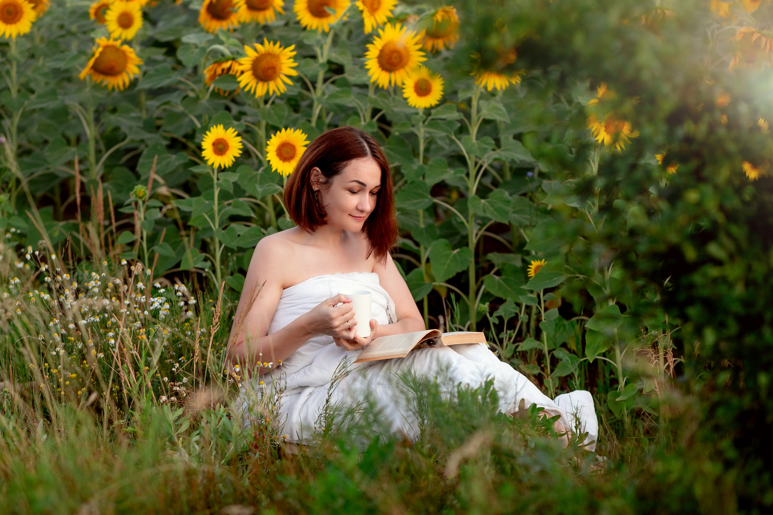 Подсолнухи. Фотограф Кравченко Юлия. Энгельс