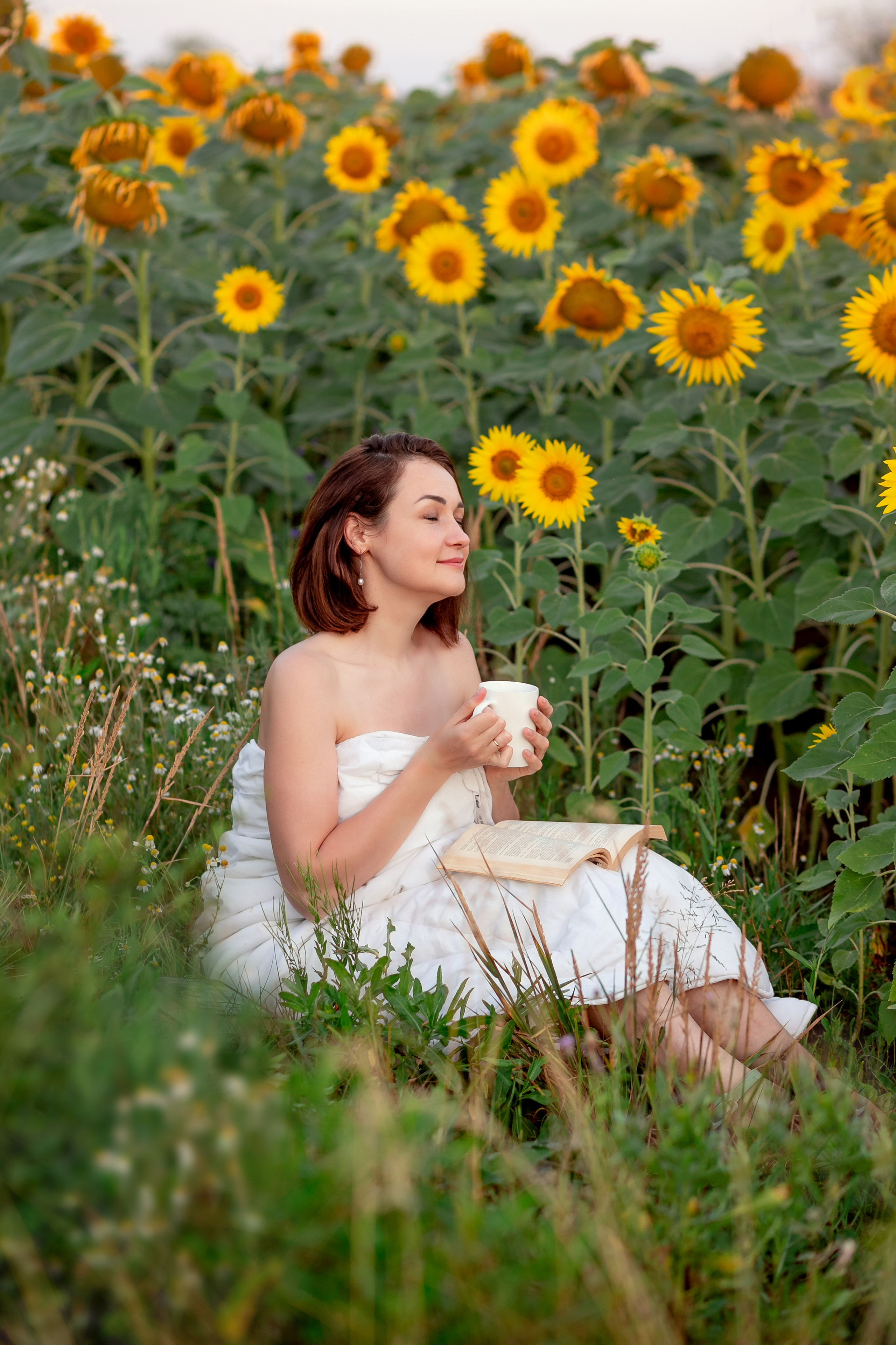 Подсолнухи. Фотограф Кравченко Юлия. Энгельс