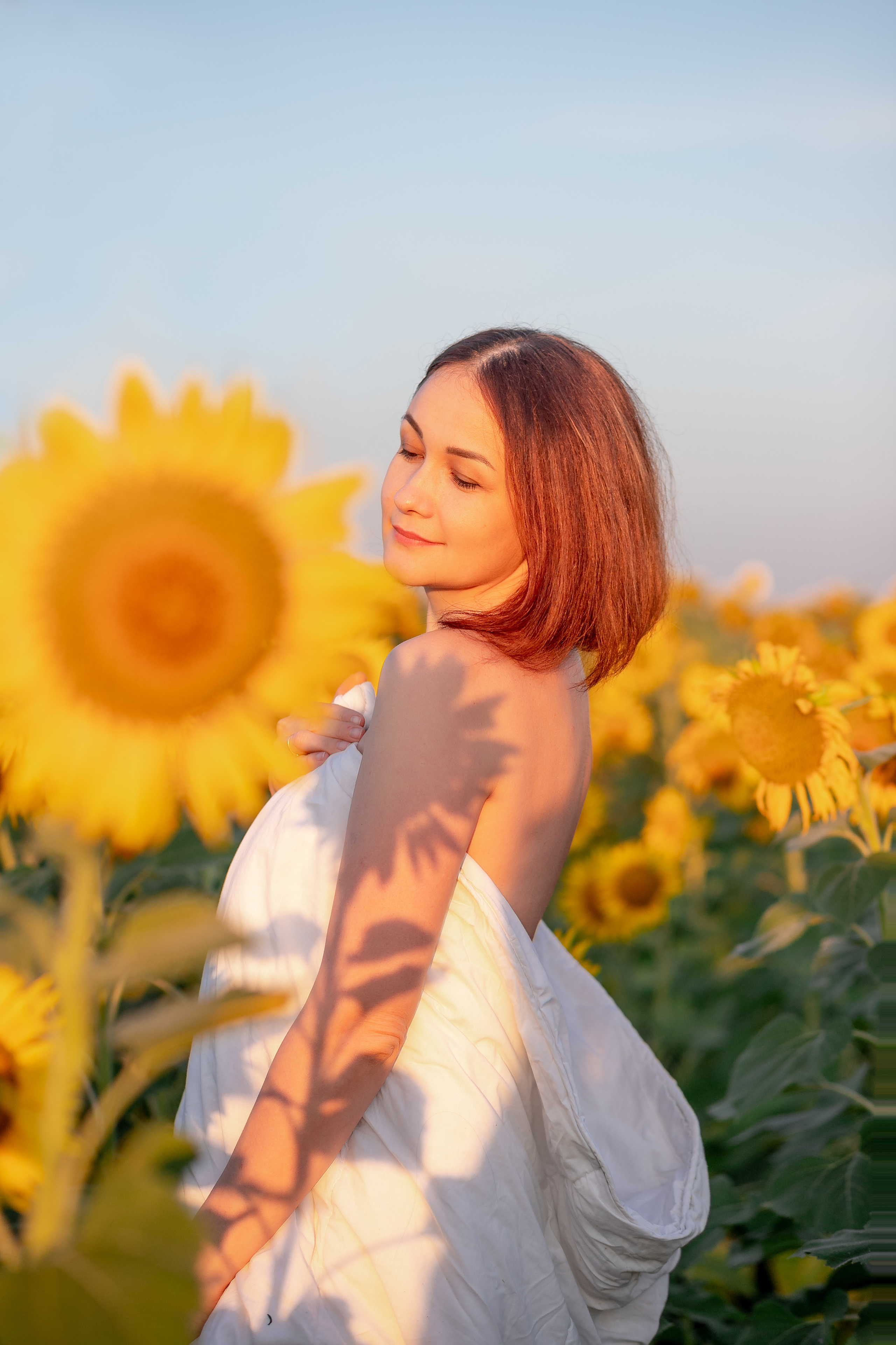 Подсолнухи. Фотограф Кравченко Юлия. Энгельс