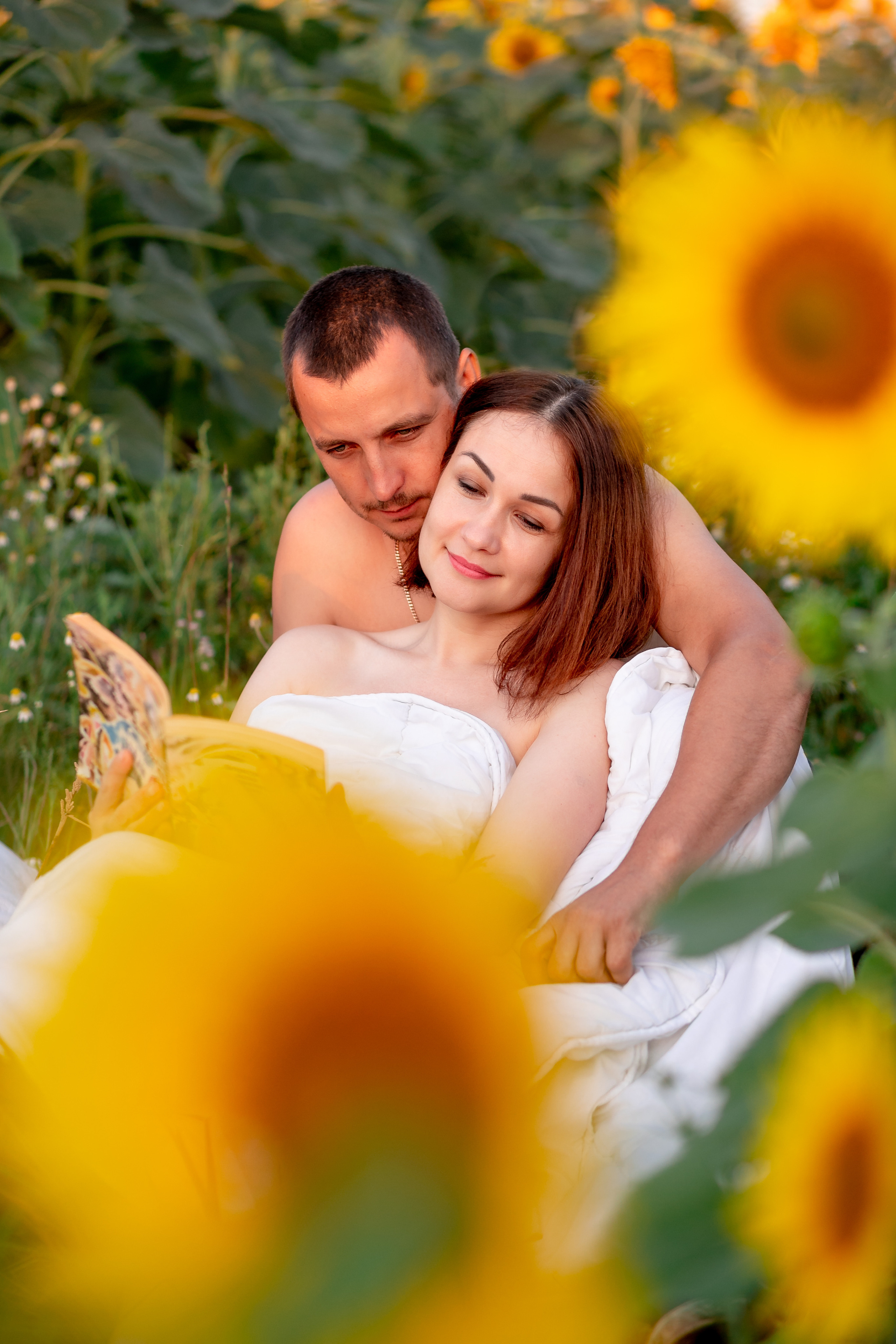 Подсолнухи. Фотограф Кравченко Юлия. Энгельс