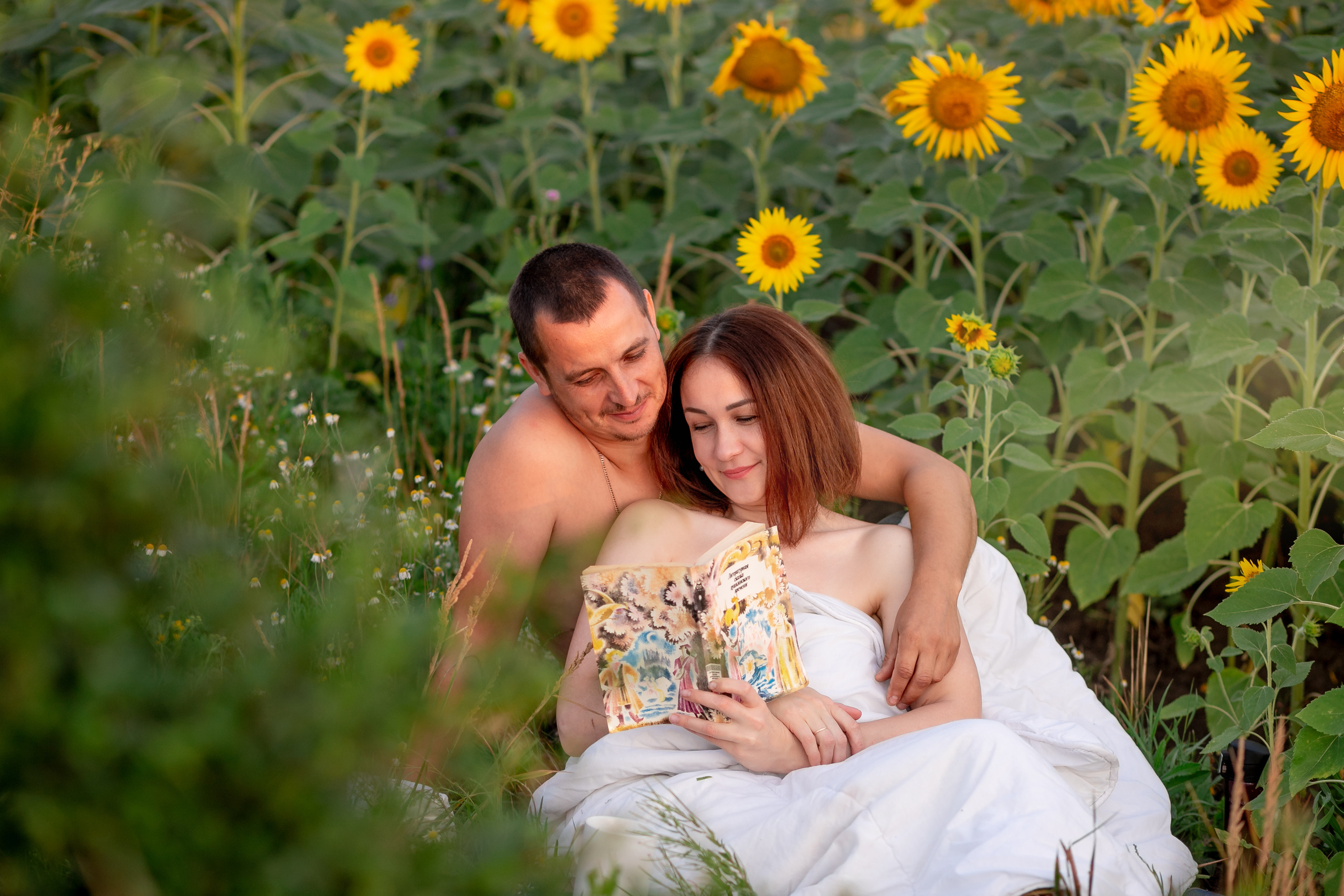 Подсолнухи. Фотограф Кравченко Юлия. Энгельс