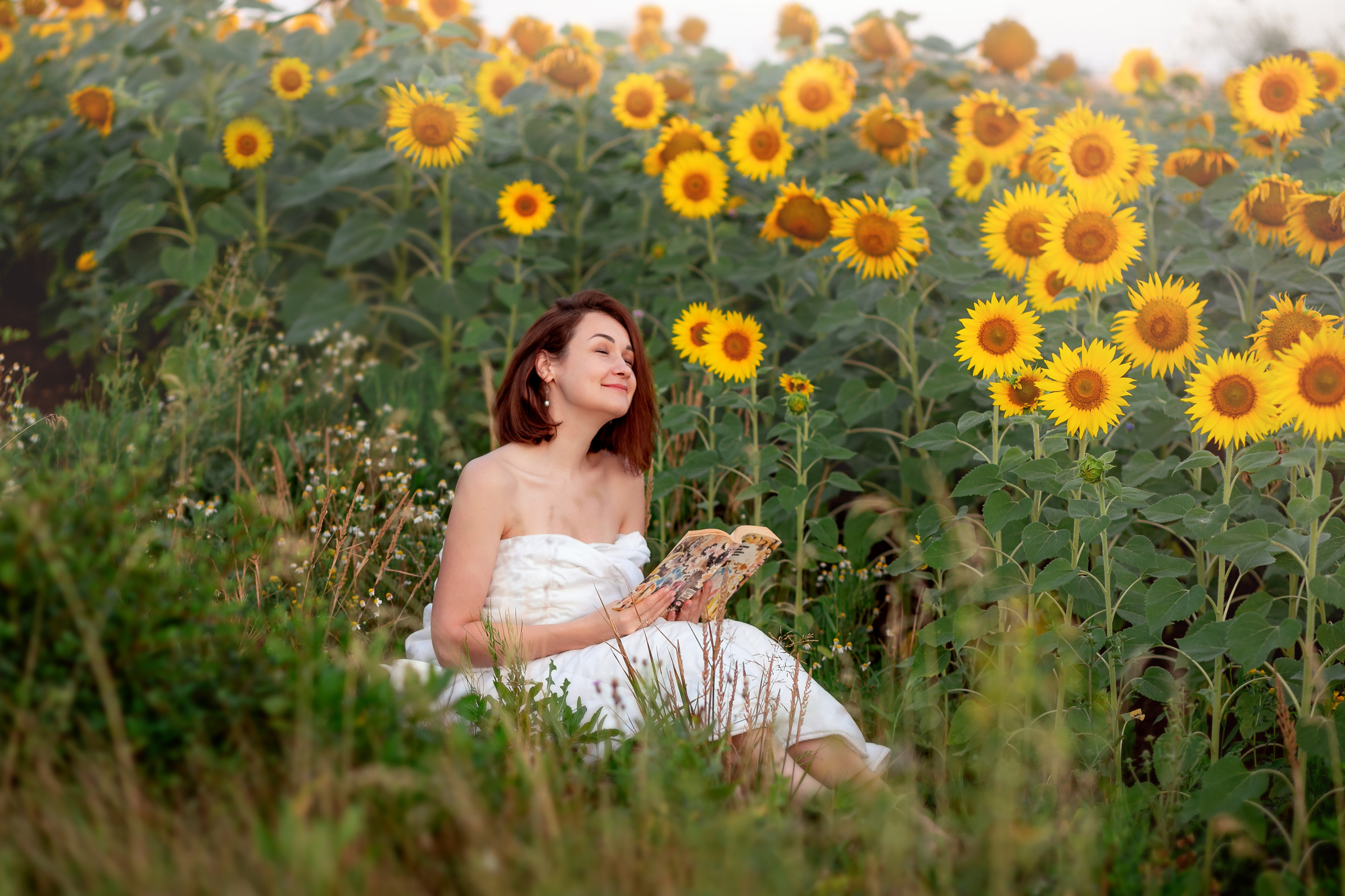 Подсолнухи. Фотограф Кравченко Юлия. Энгельс