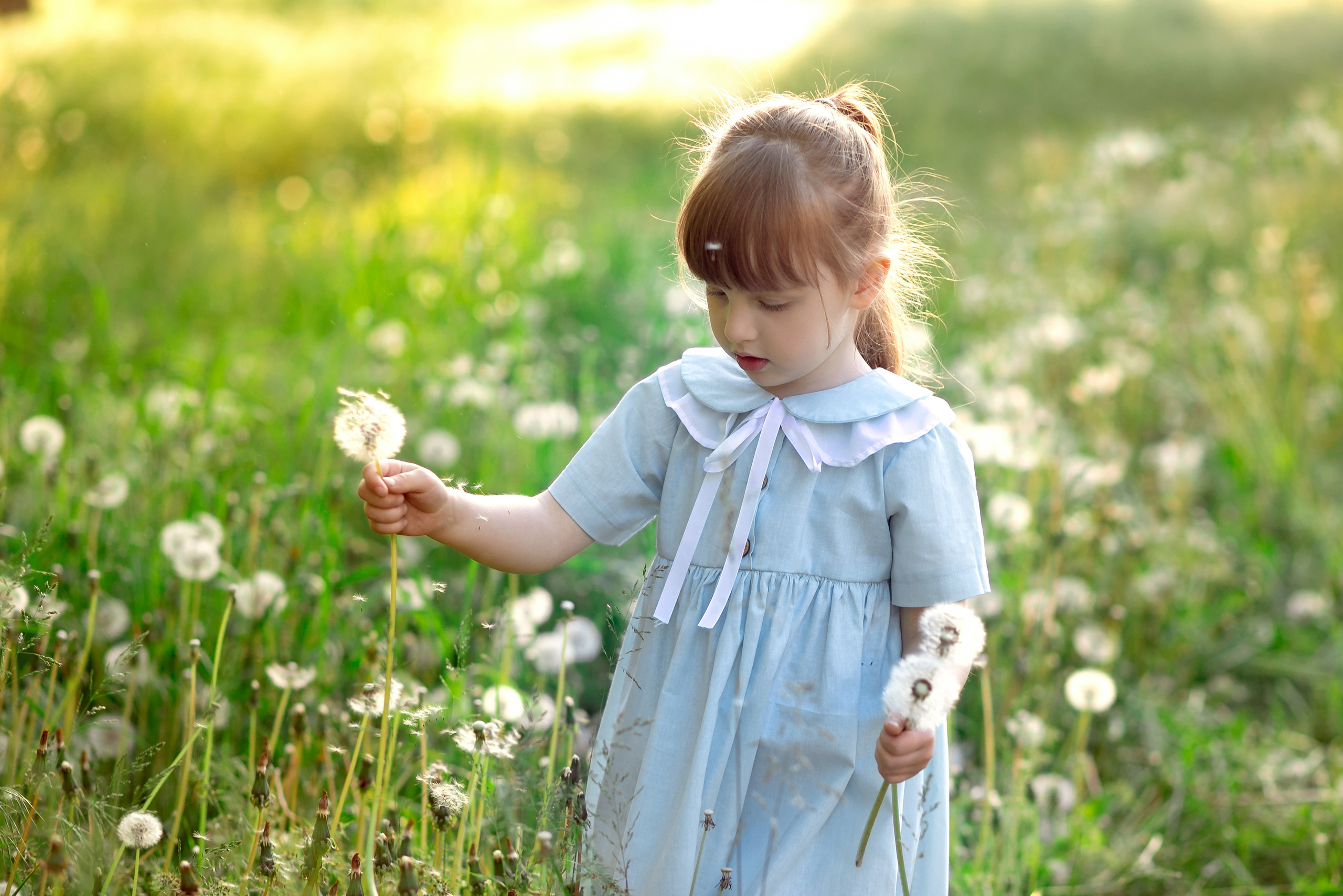 Летняя прогулка. Фотограф Кравченко Юлия. Энгельс