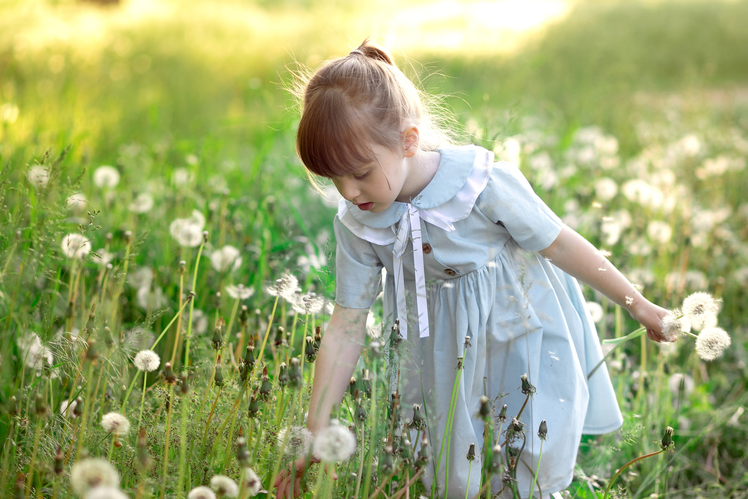 Летняя прогулка. Фотограф Кравченко Юлия. Энгельс