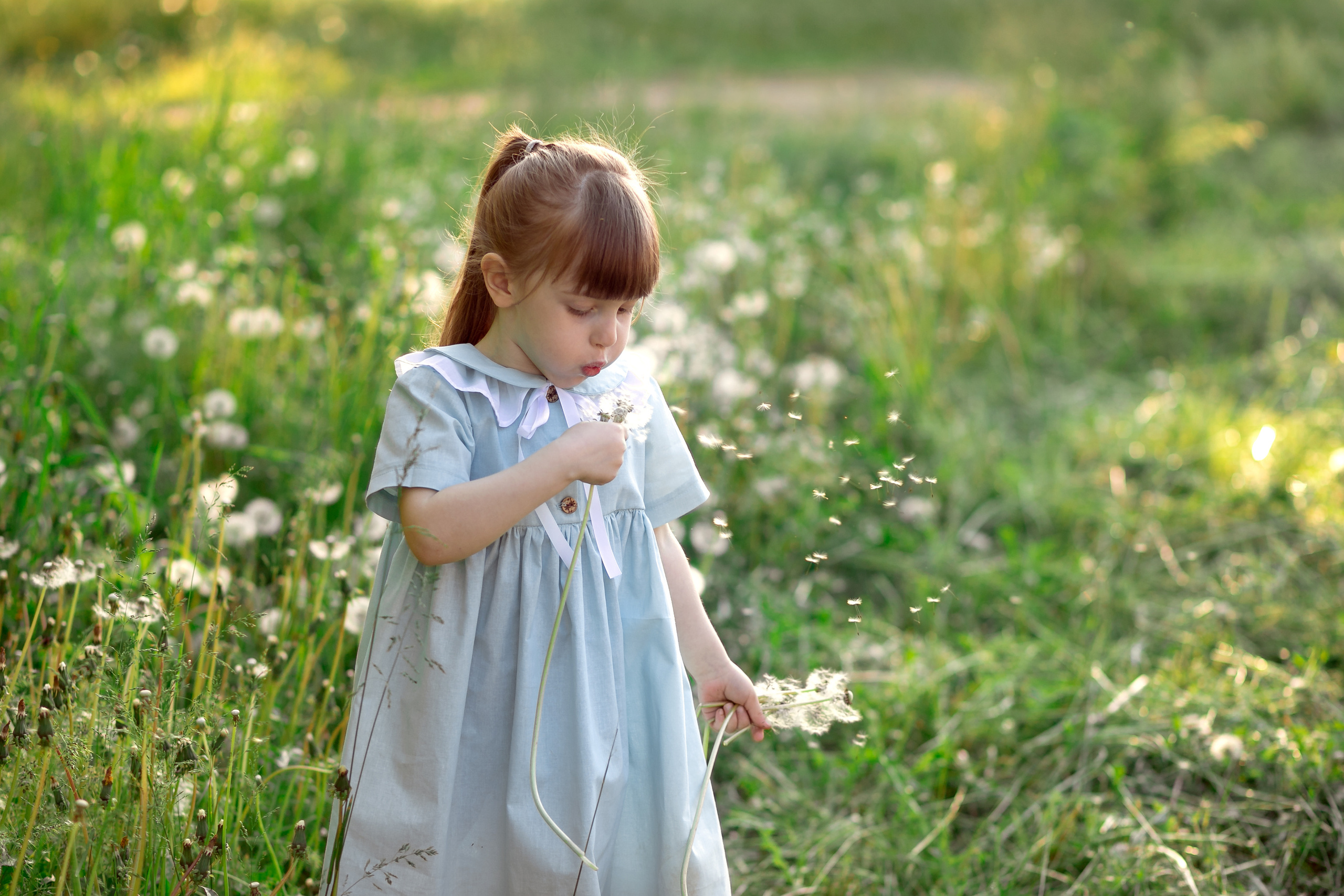 Летняя прогулка. Фотограф Кравченко Юлия. Энгельс