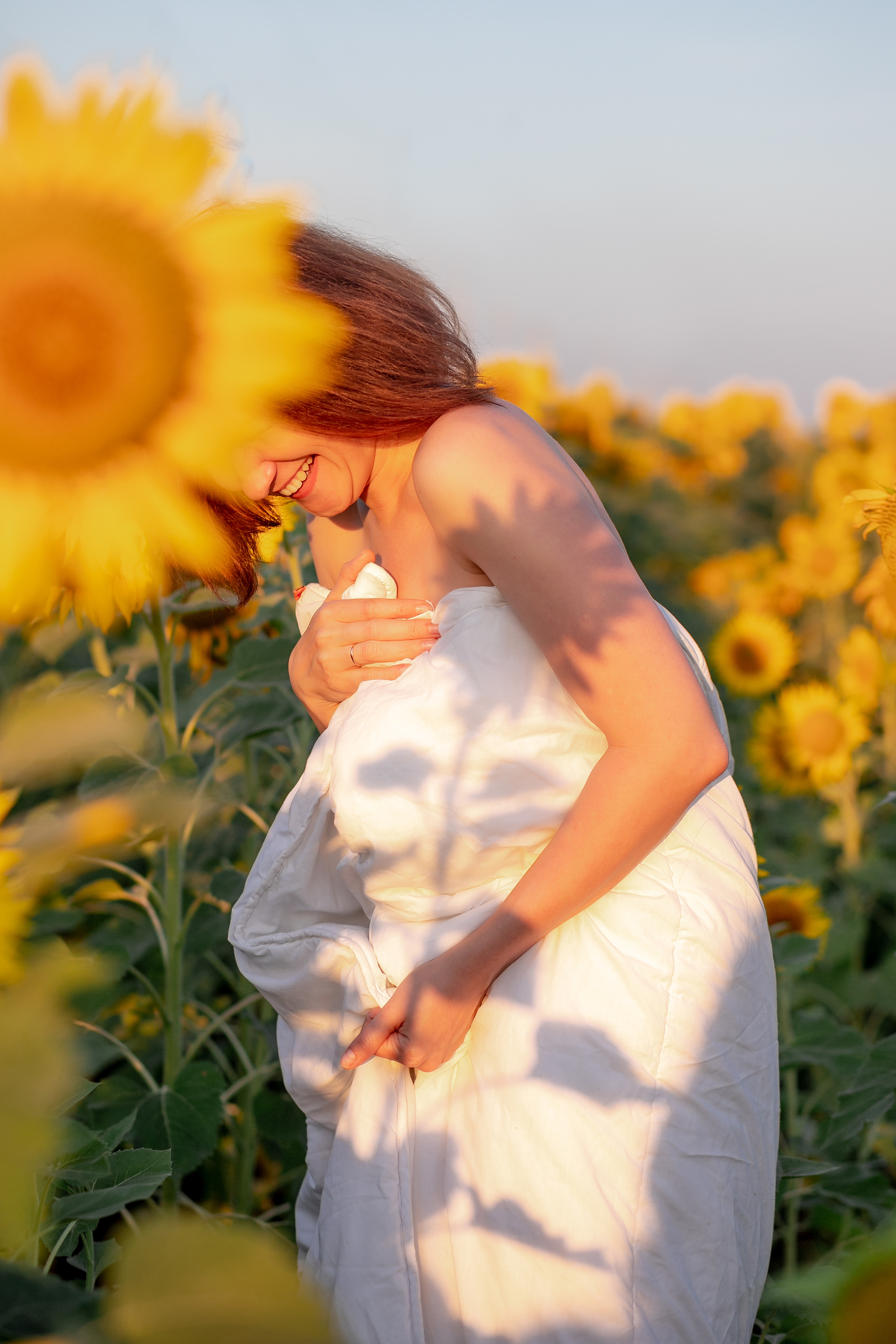 Подсолнухи. Фотограф Кравченко Юлия. Энгельс