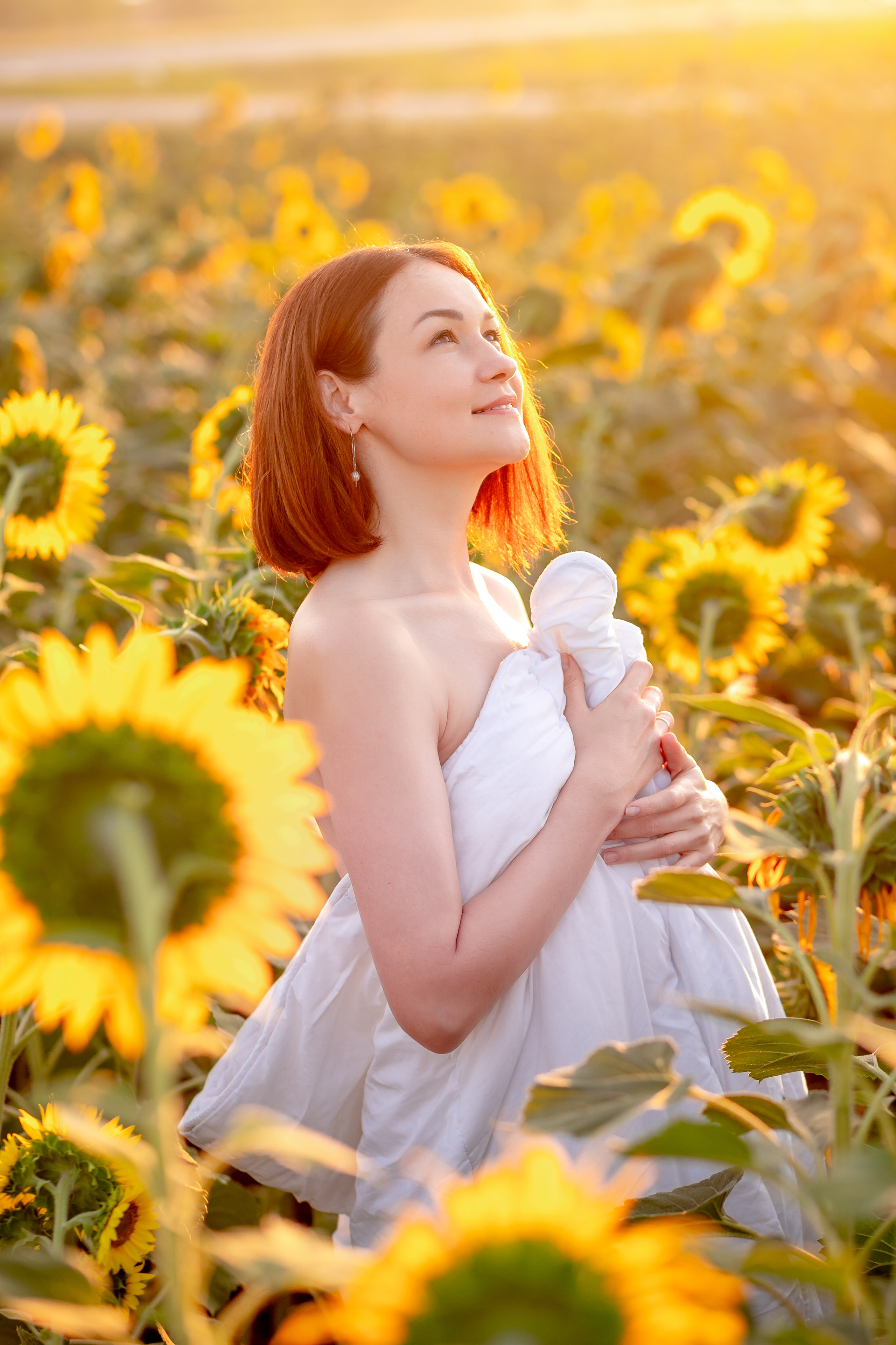 Подсолнухи. Фотограф Кравченко Юлия. Энгельс