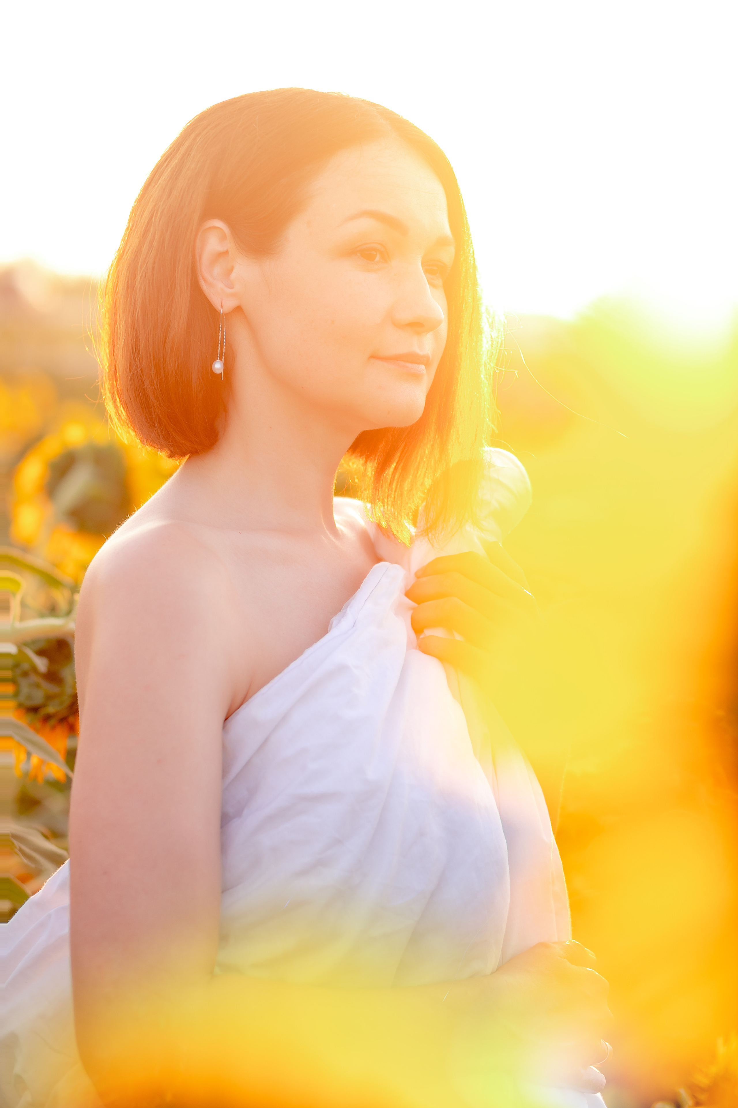 Подсолнухи. Фотограф Кравченко Юлия. Энгельс