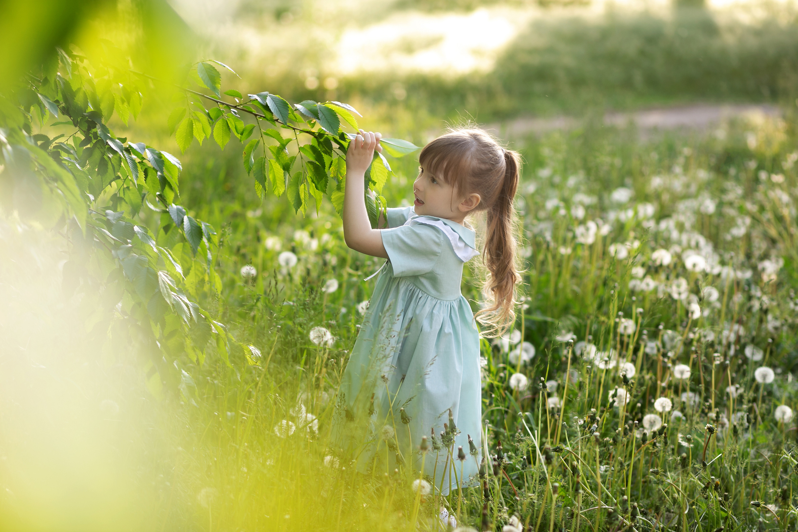 Летняя прогулка. Фотограф Кравченко Юлия. Энгельс