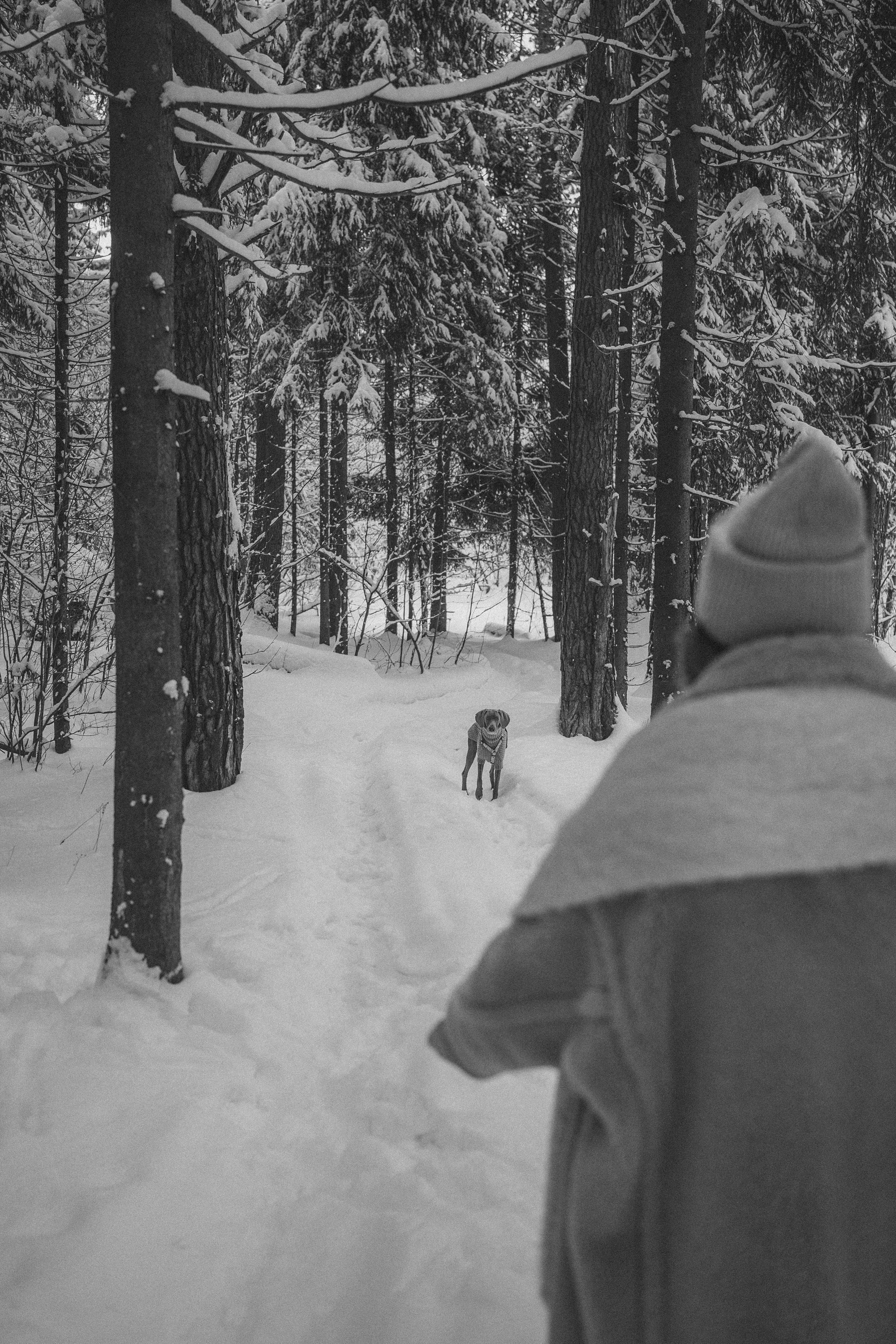 Лена и Фанни. Фотограф анималист в Москве и Санкт-Петербурге Свиридова Анна