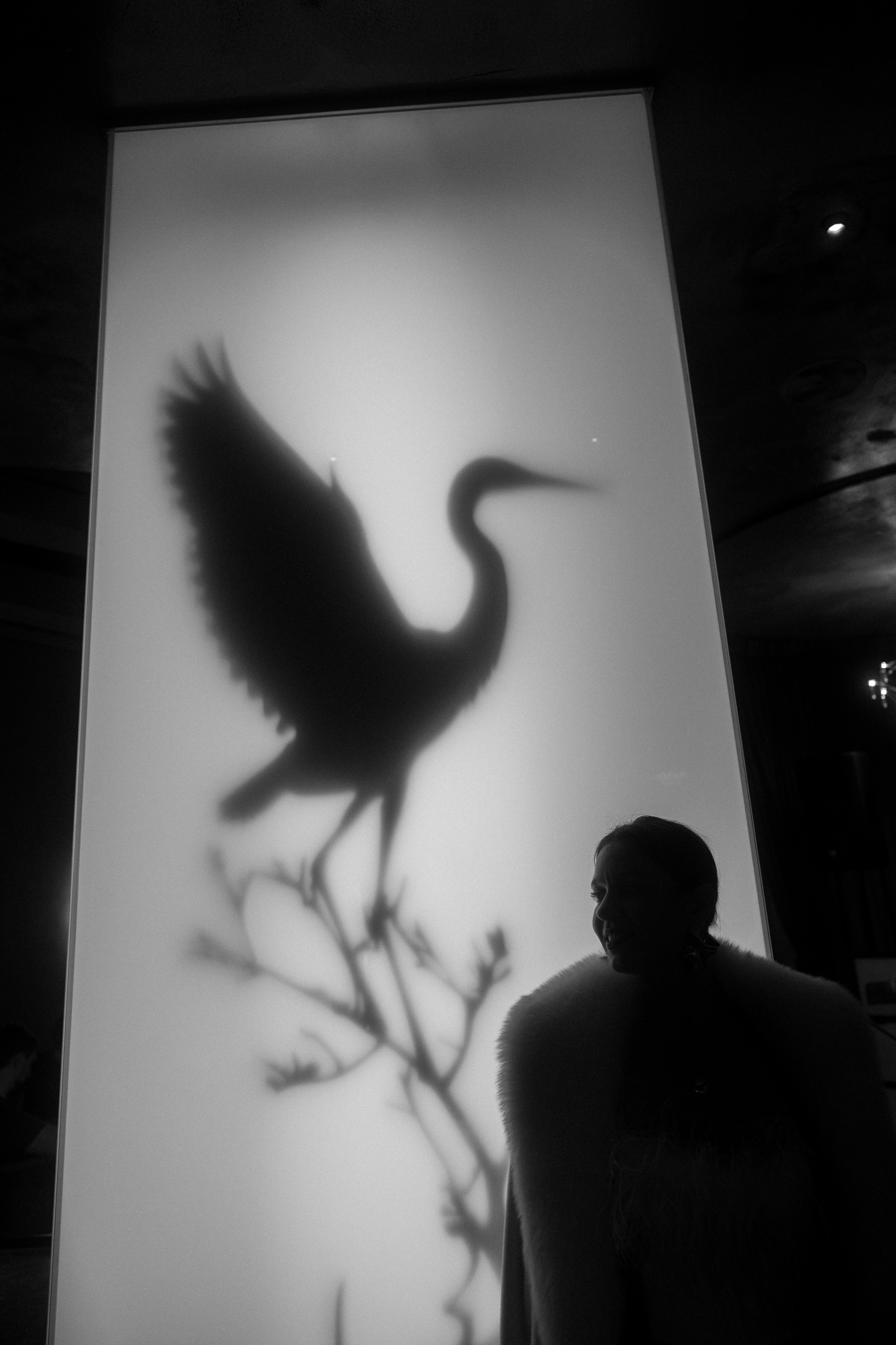 MOEX Japan. Фотограф Александр Тулупов