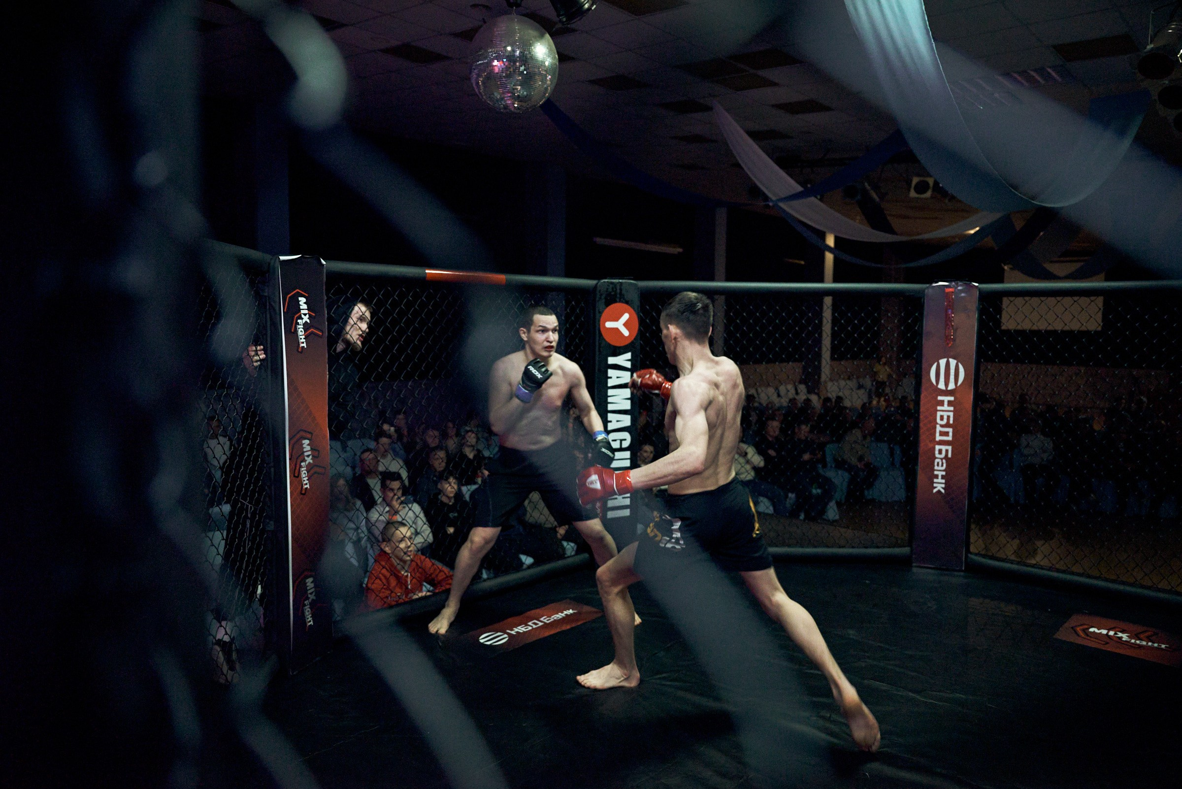 Бои. Маляревич Дмитрий свадебный фотограф