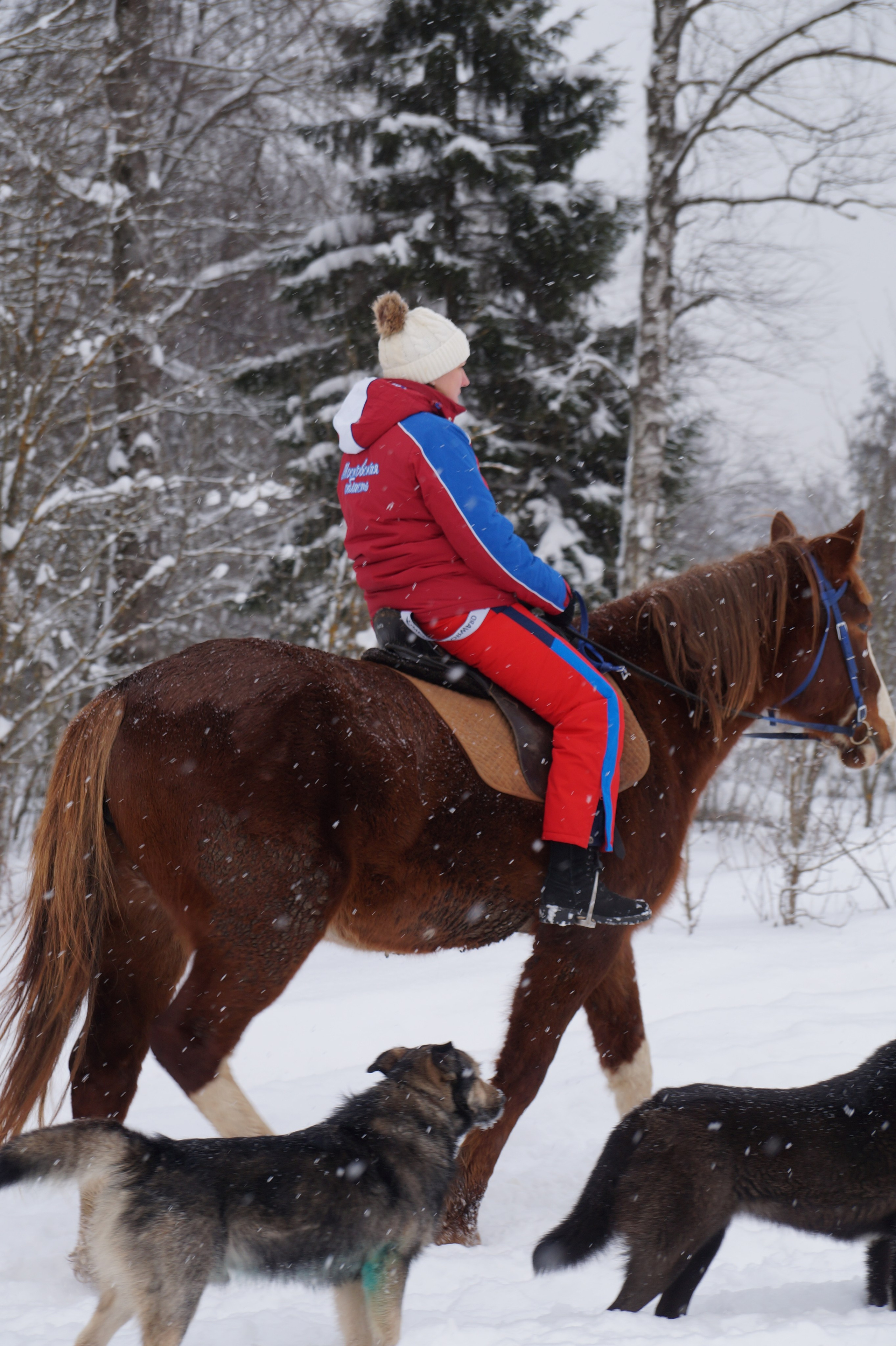 Лошадинг | 11.01.2026. Галерея Фантим