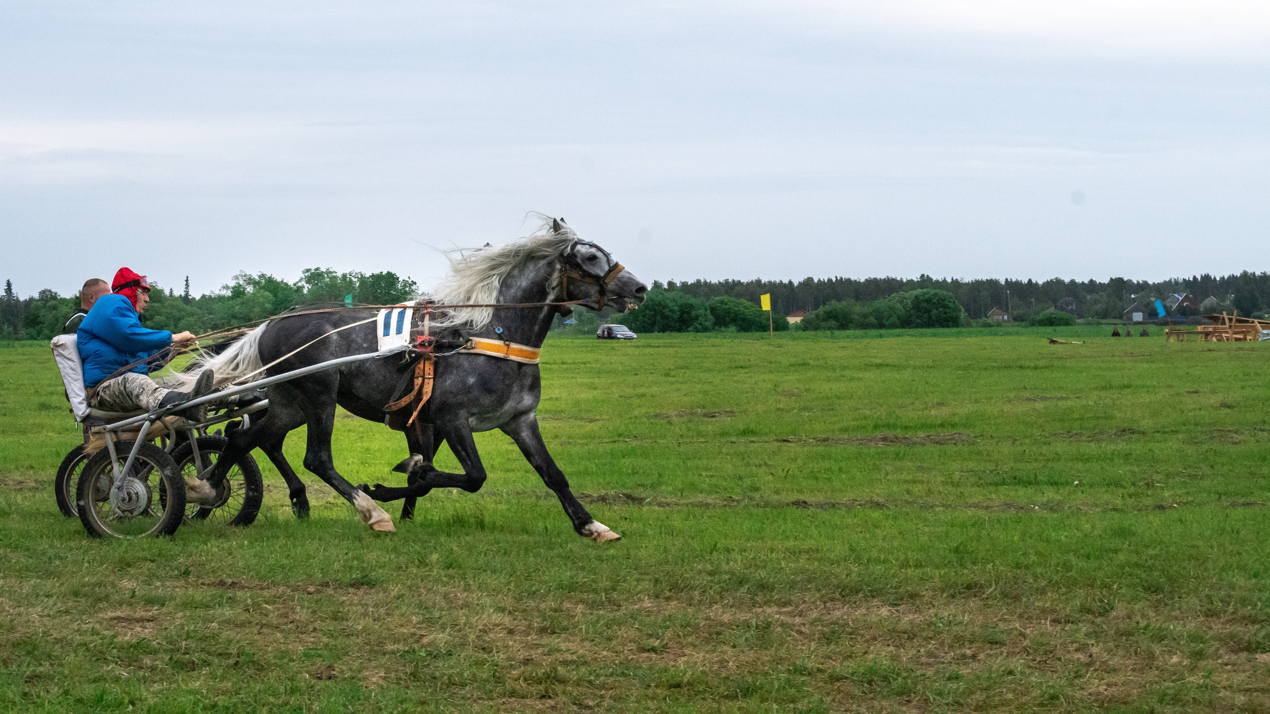 Луд 2023. Фотограф в с. Ижма Республика Коми Терентьев Сергей