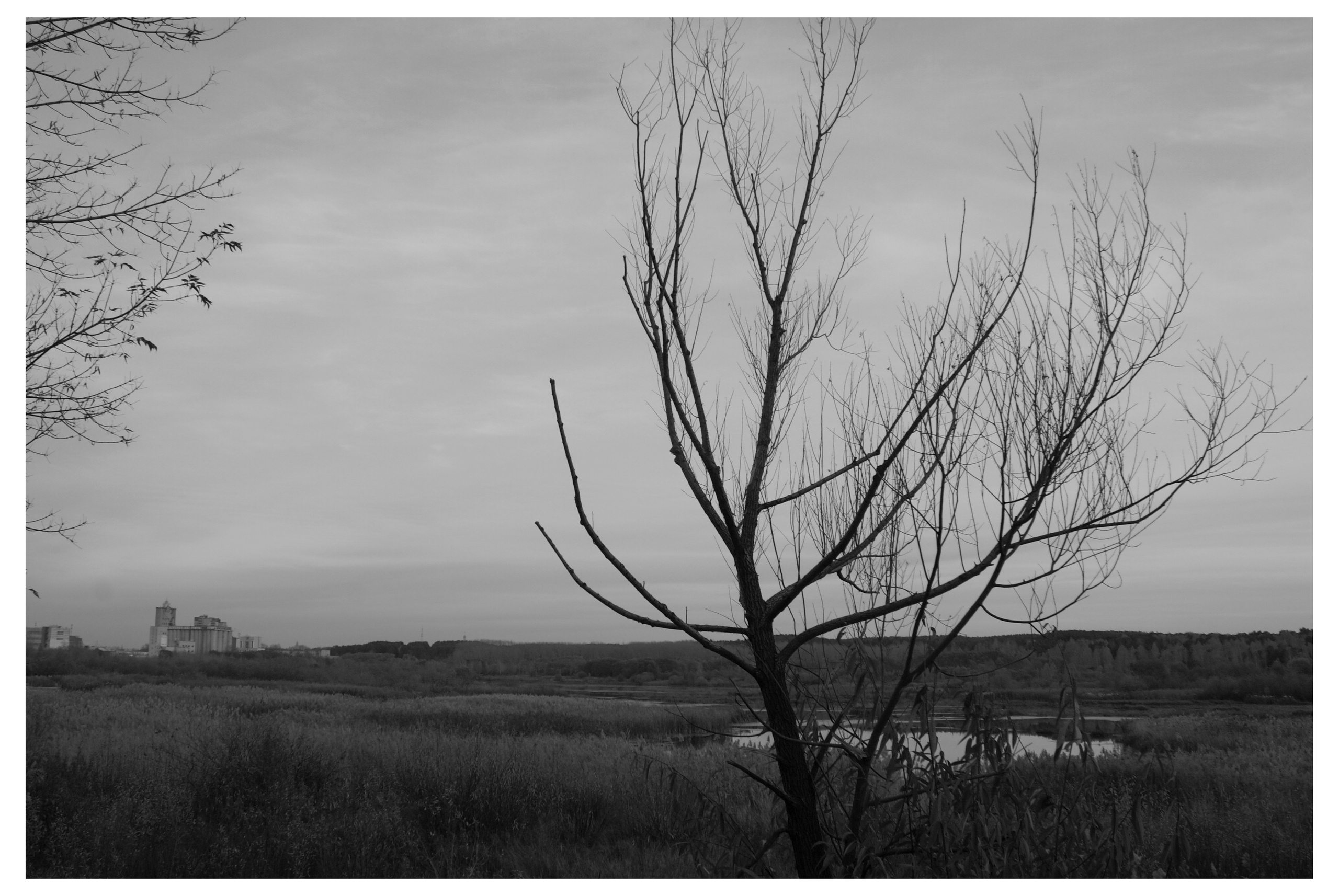 CHELYABINSK. Photographer Manakova Olga