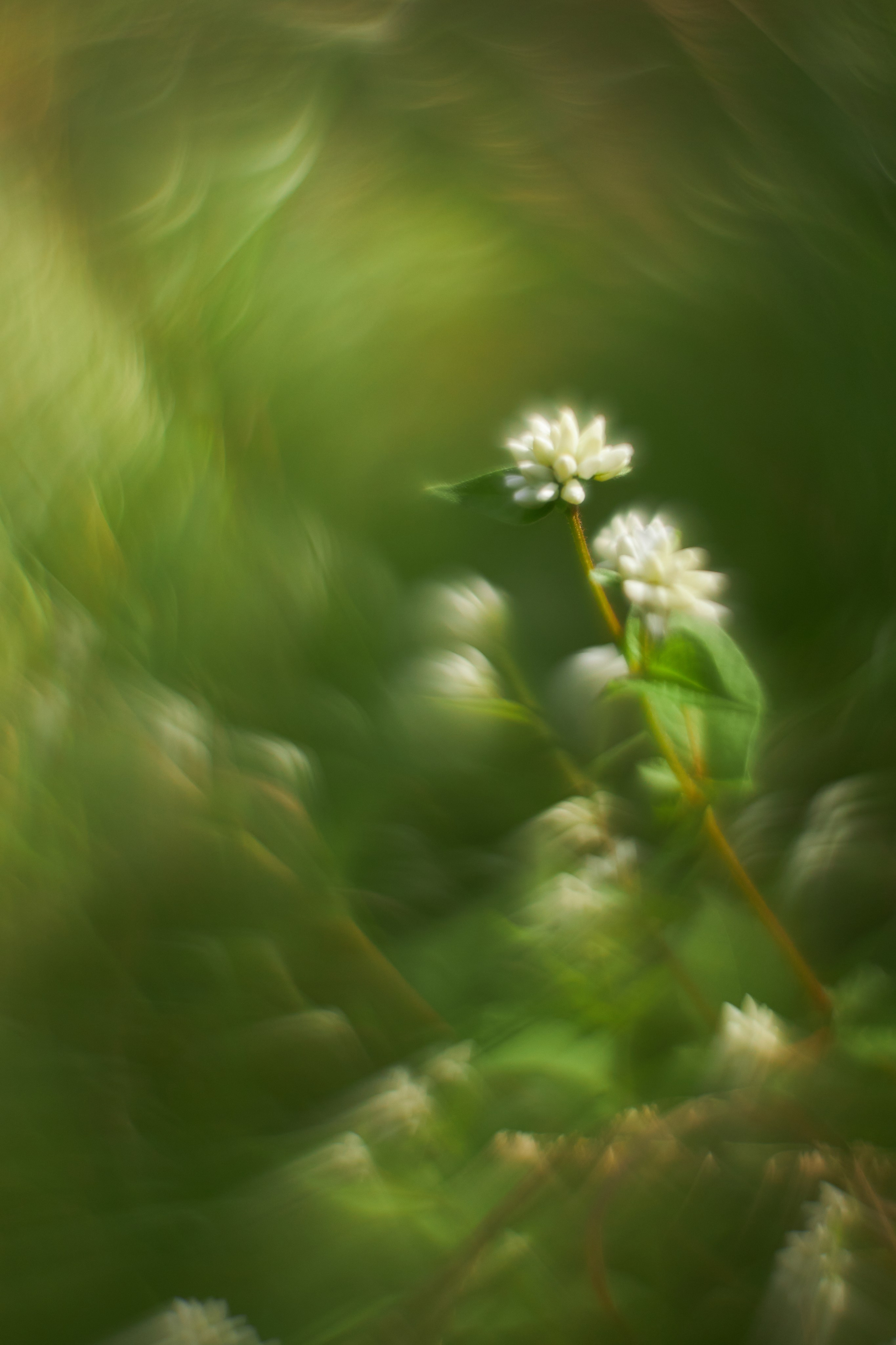 «Незримые Миры». Арт-фотограф во Владивостоке Дмитрий Осипчук