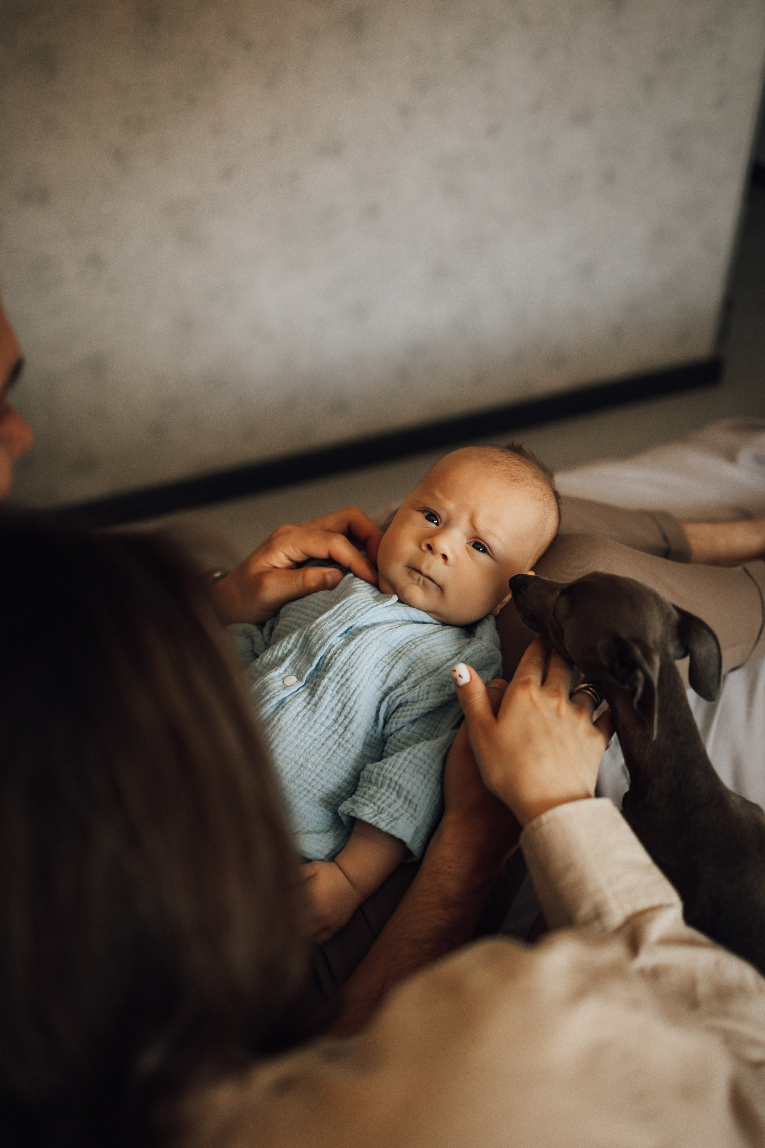 Домашняя история. Семейный фотограф Москва Юлиана Фетисова