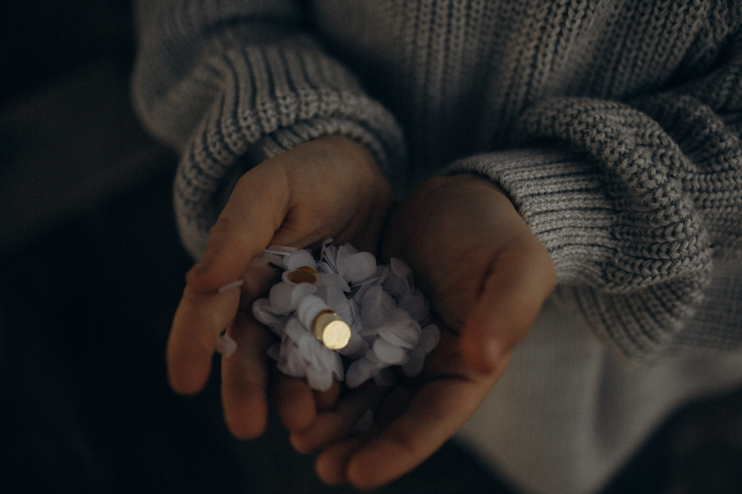 Домик на дереве. Семейный фотограф Москва Юлиана Фетисова