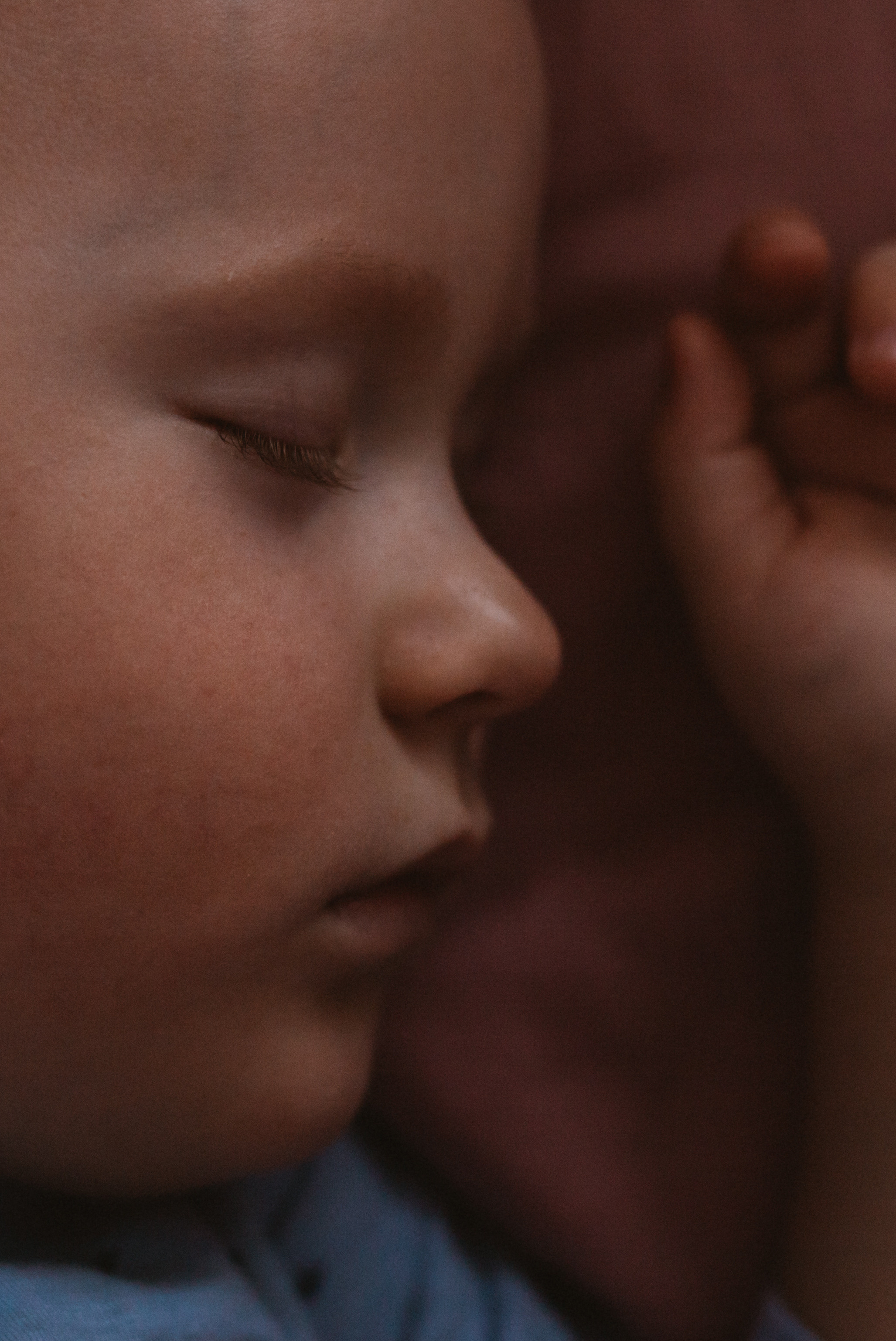Медвежонок. Свадебный и семейный фотограф Анна Печенкина