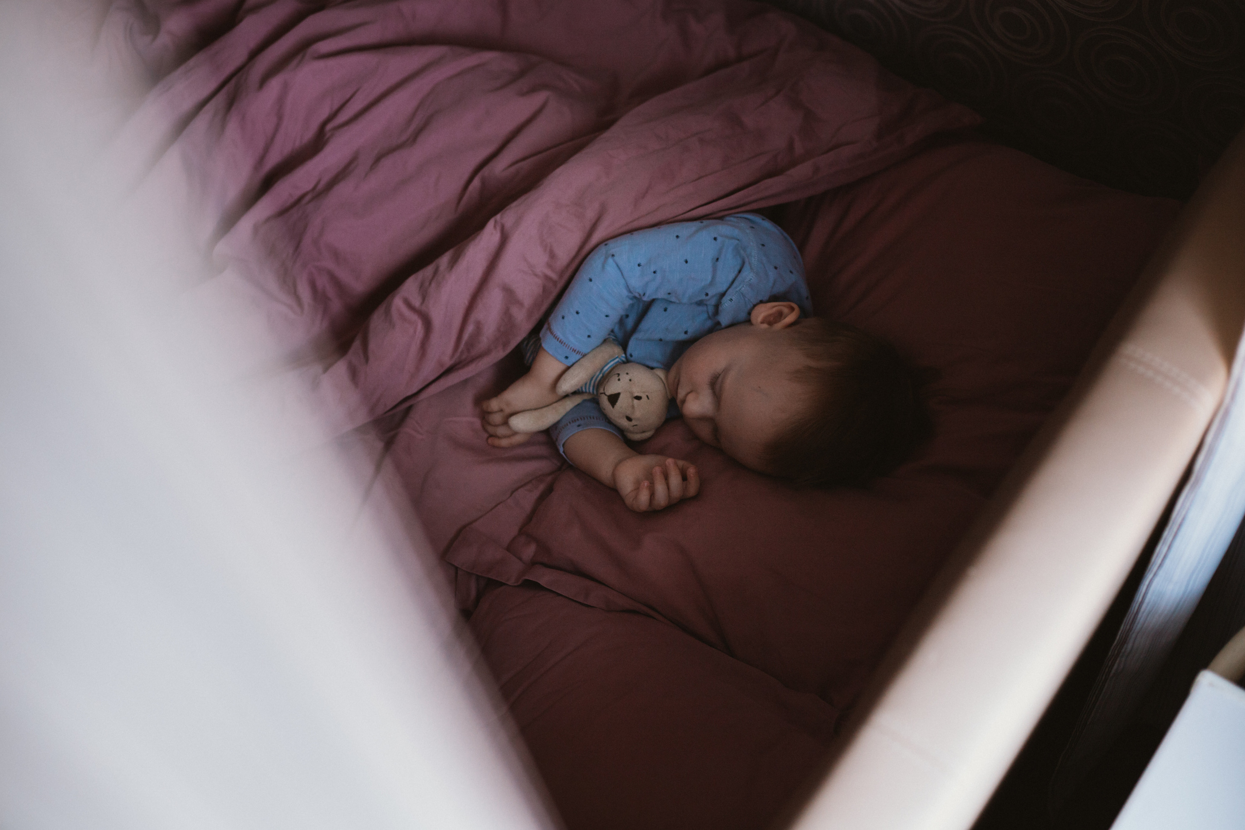 Медвежонок. Свадебный и семейный фотограф Анна Печенкина