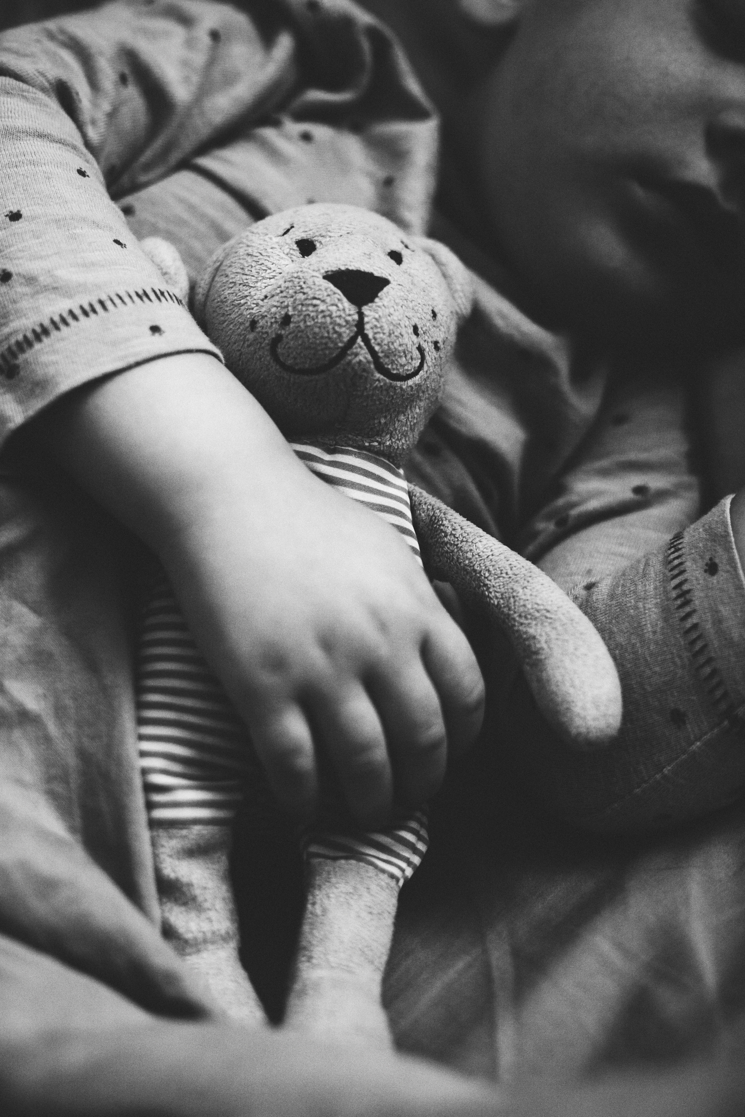 Медвежонок. Свадебный и семейный фотограф Анна Печенкина