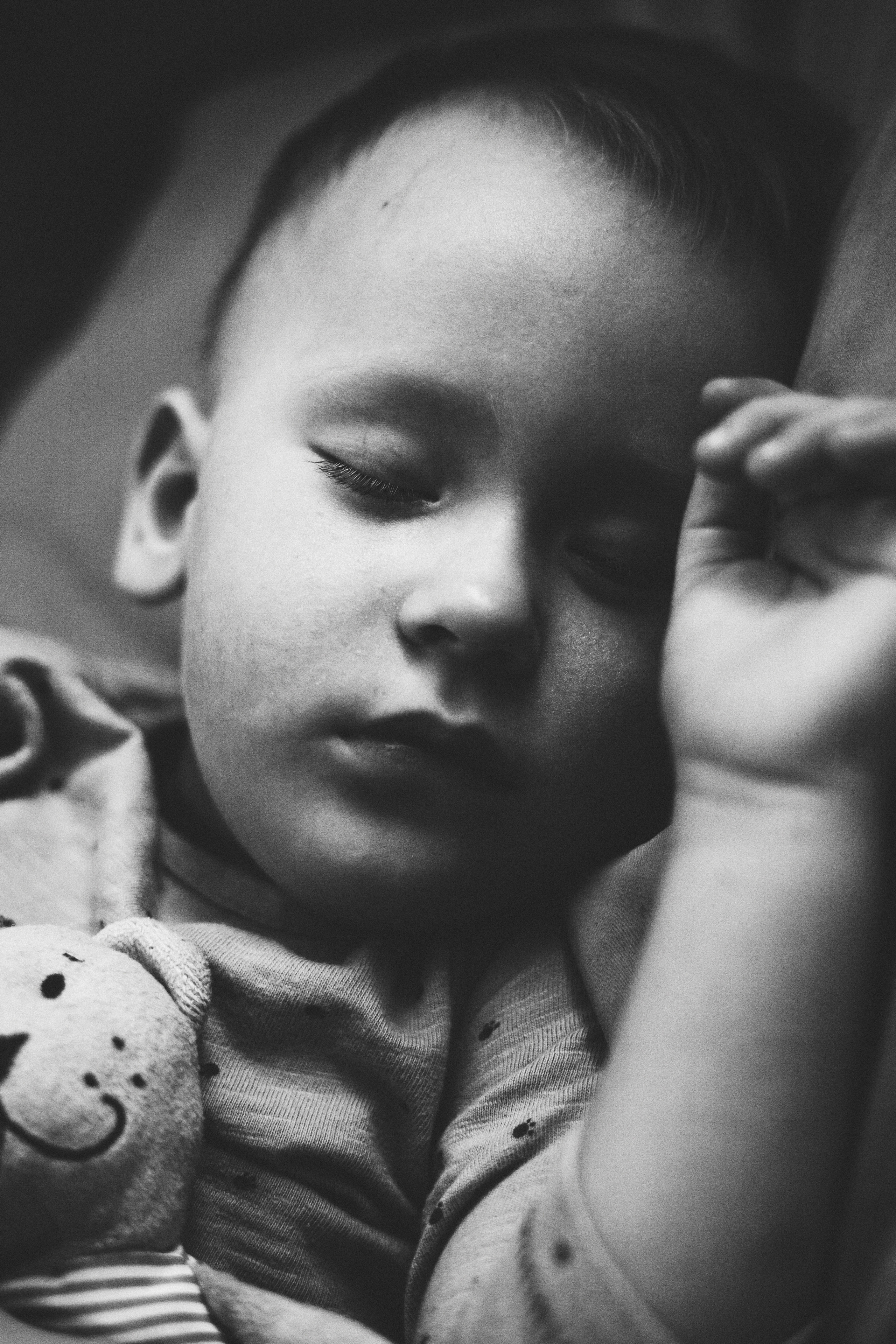 Медвежонок. Свадебный и семейный фотограф Анна Печенкина