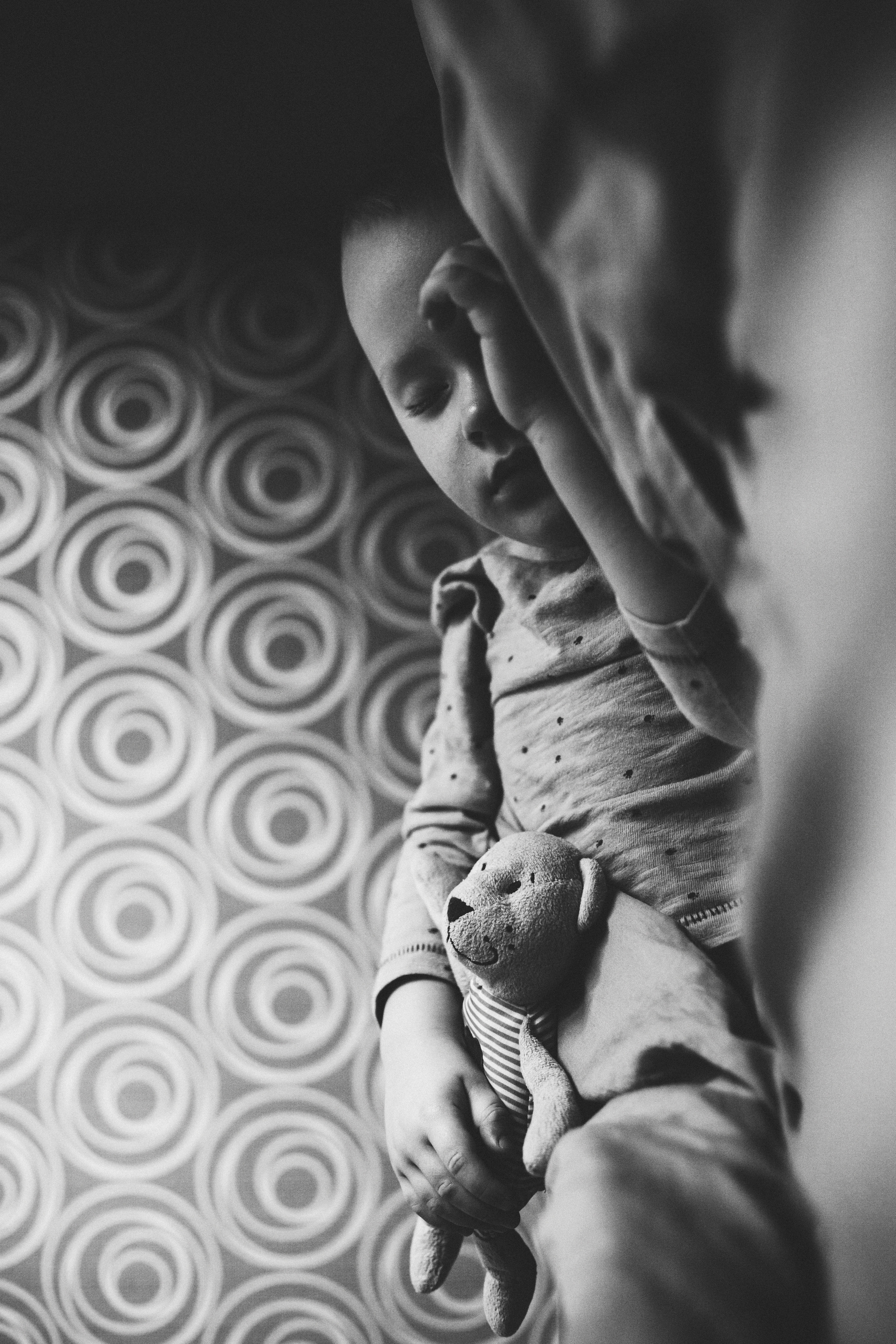 Медвежонок. Свадебный и семейный фотограф Анна Печенкина