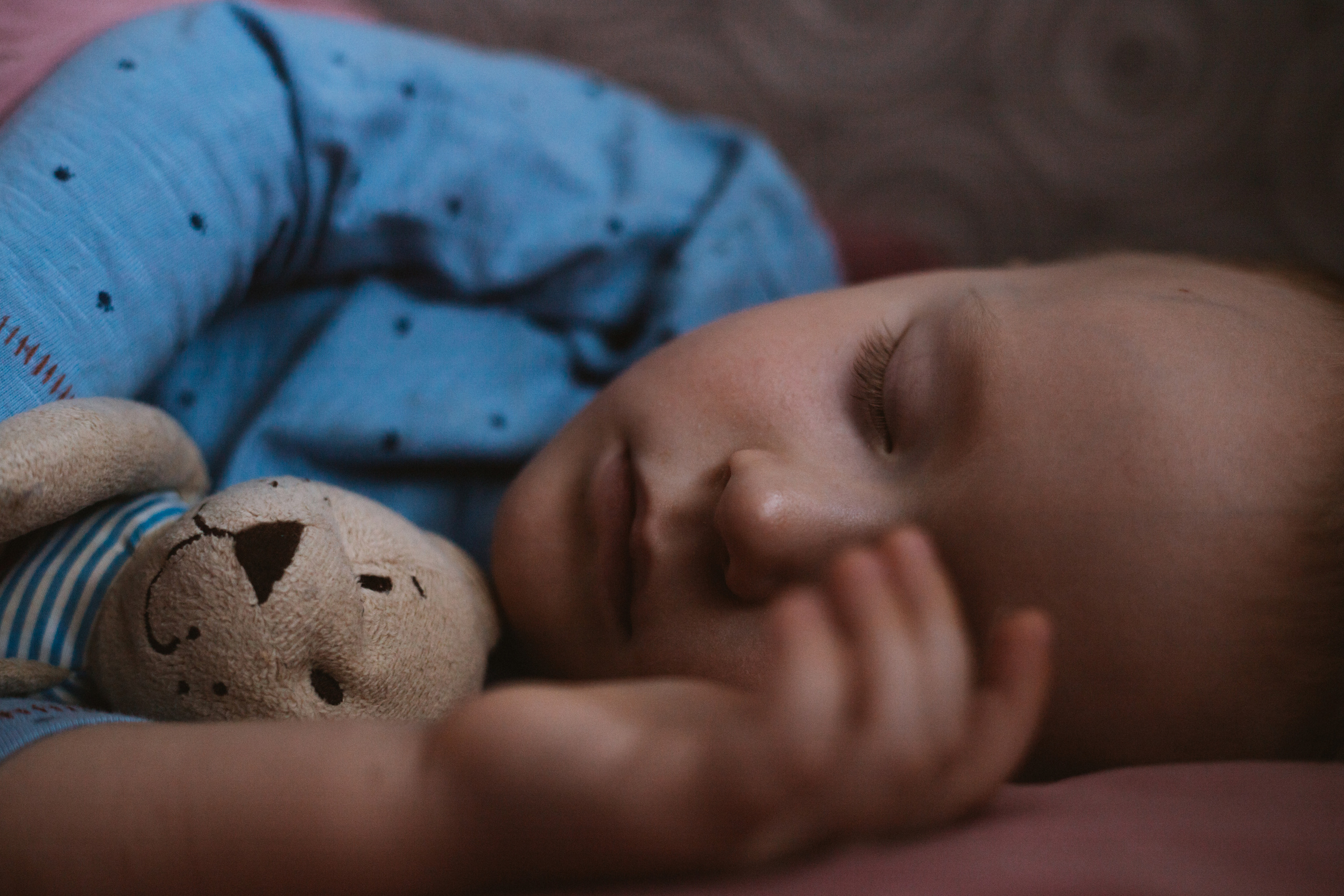 Медвежонок. Свадебный и семейный фотограф Анна Печенкина