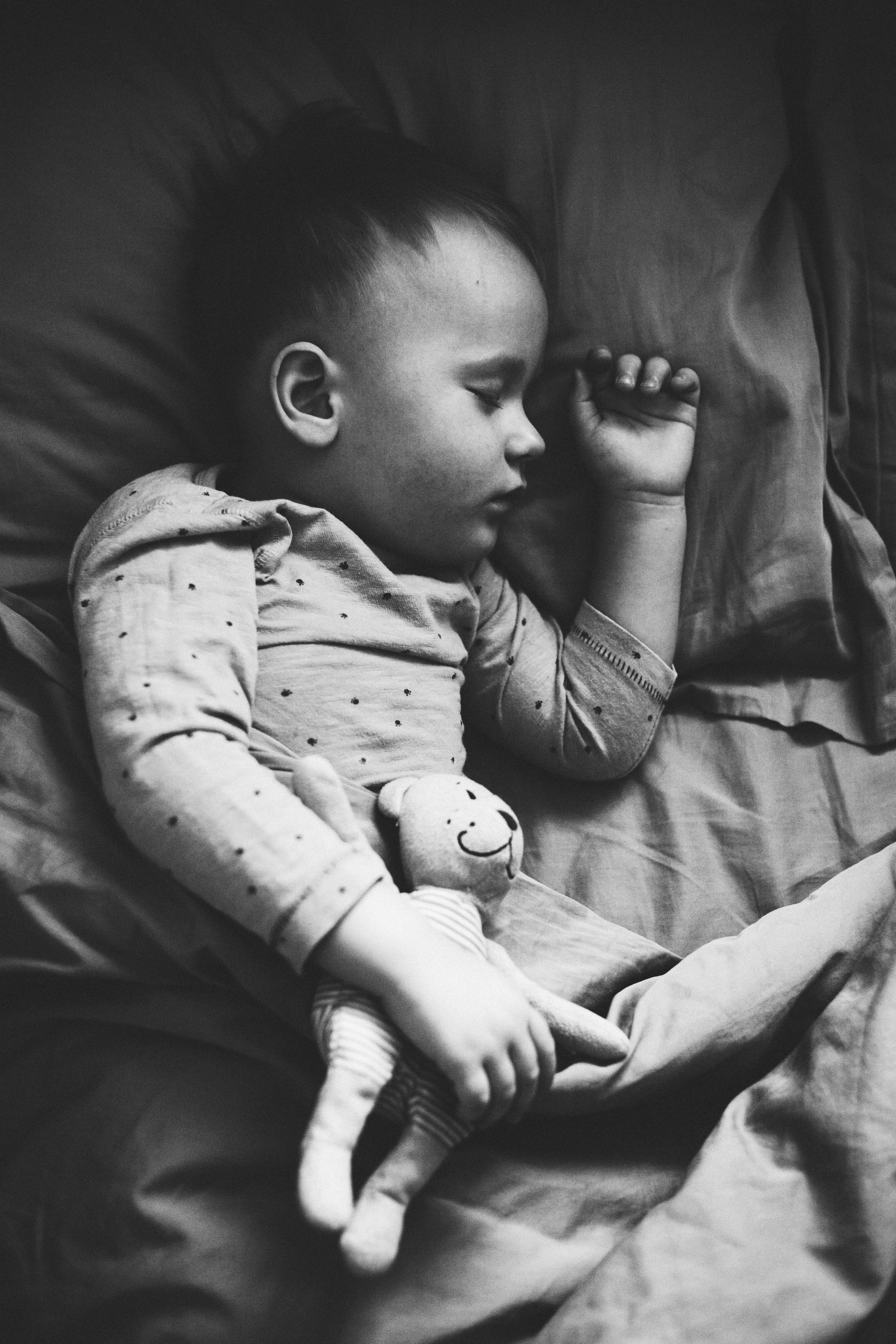 Медвежонок. Свадебный и семейный фотограф Анна Печенкина