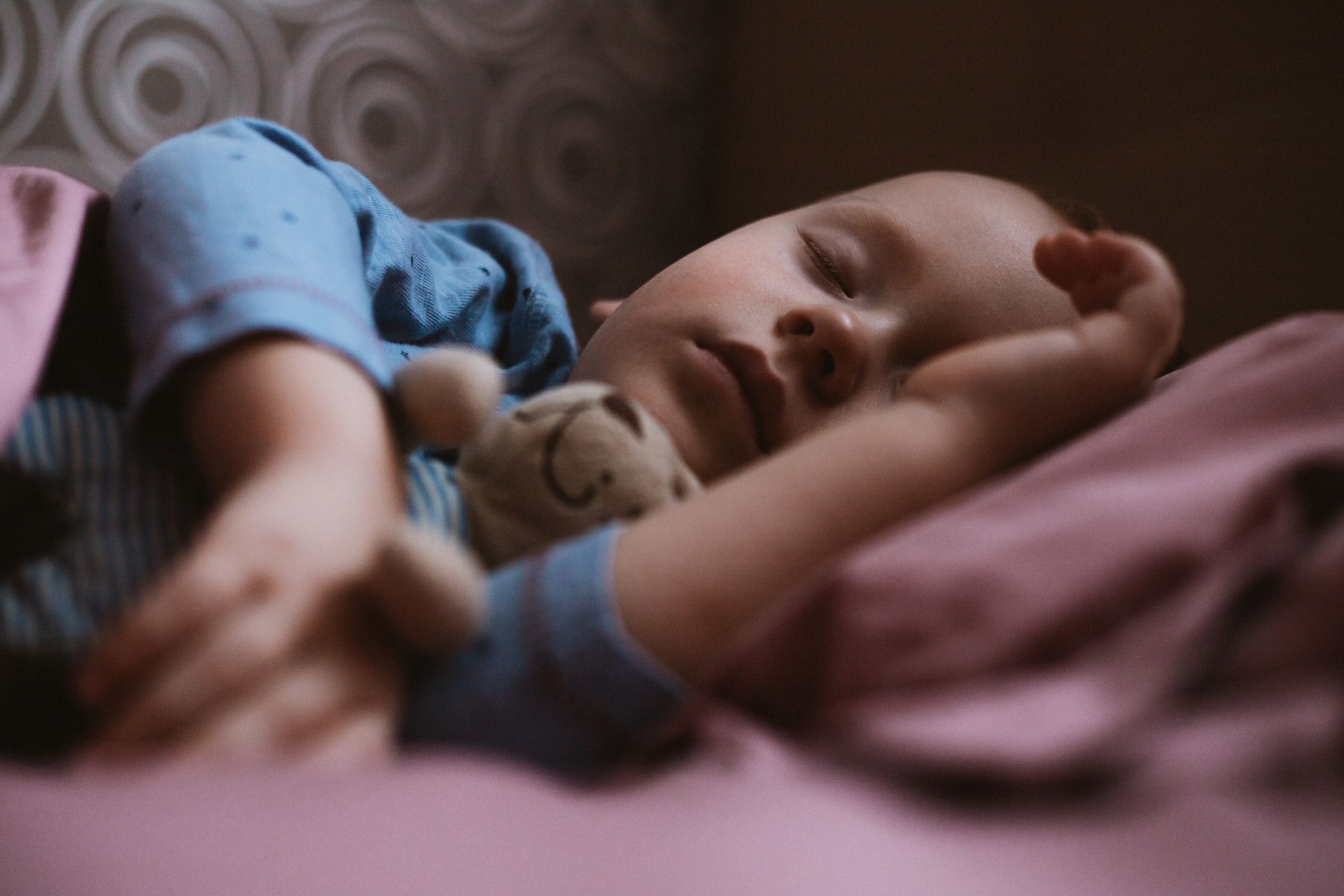 Медвежонок. Свадебный и семейный фотограф Анна Печенкина