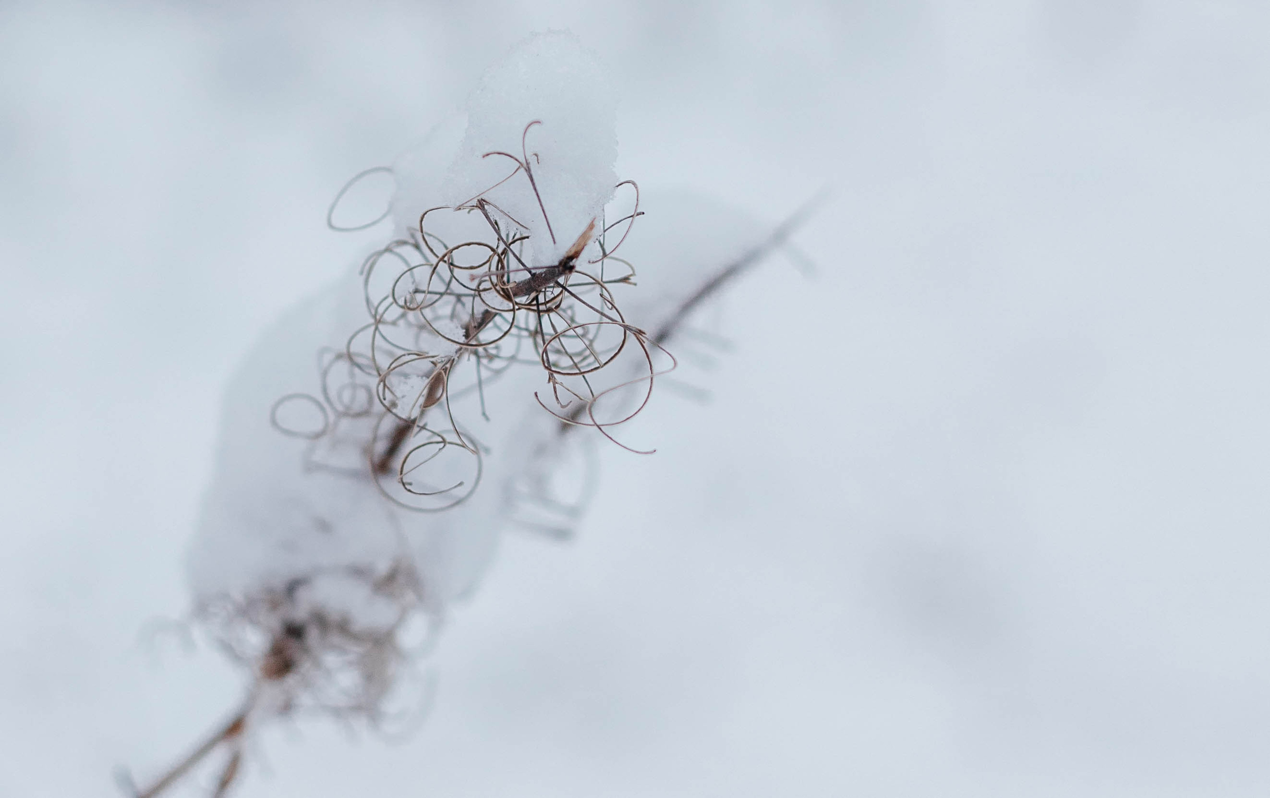 Зима в деревне. Свадебный и семейный фотограф Анна Печенкина