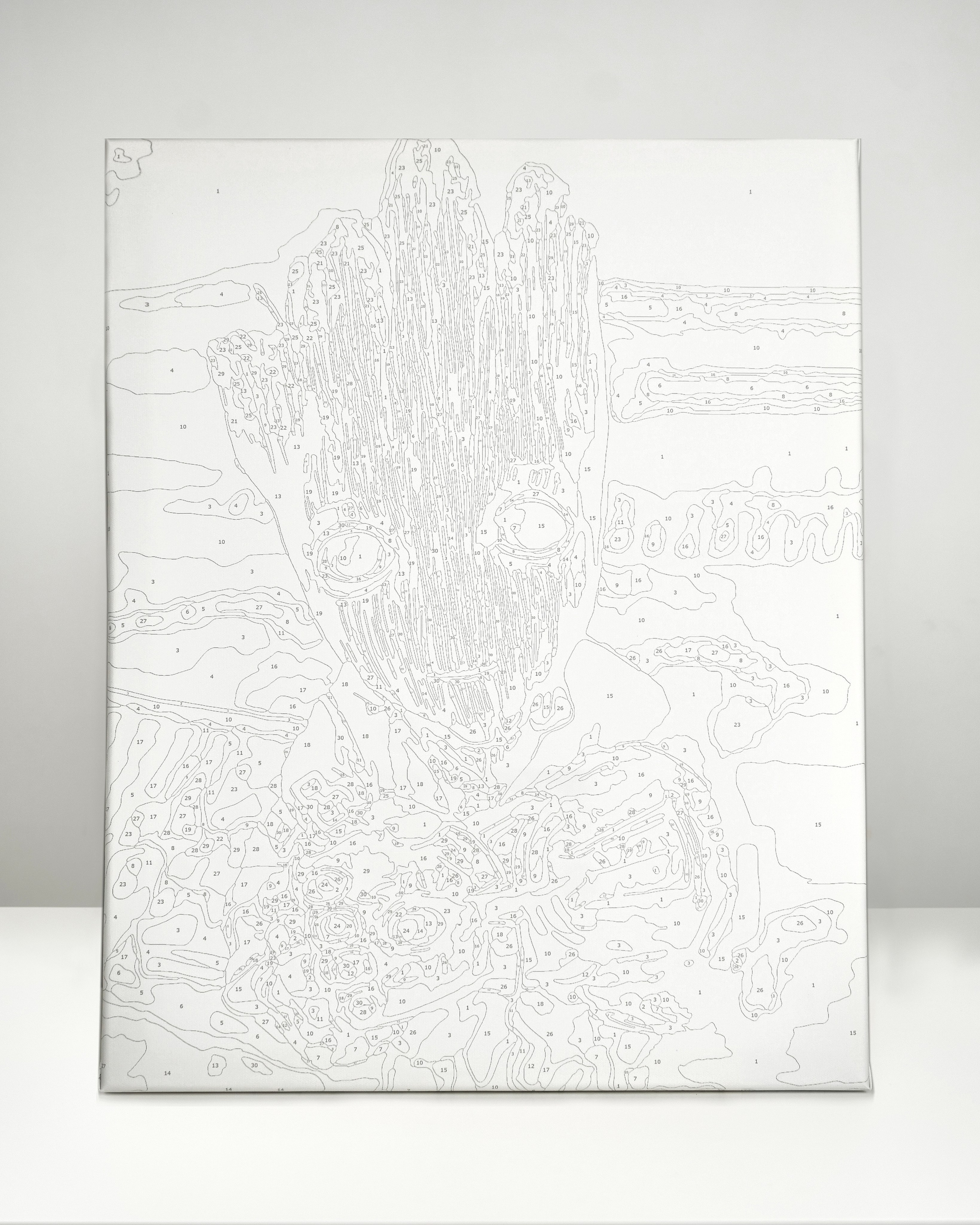 Картина по номерам. Концептуальный фотограф Шлыкова Ольга