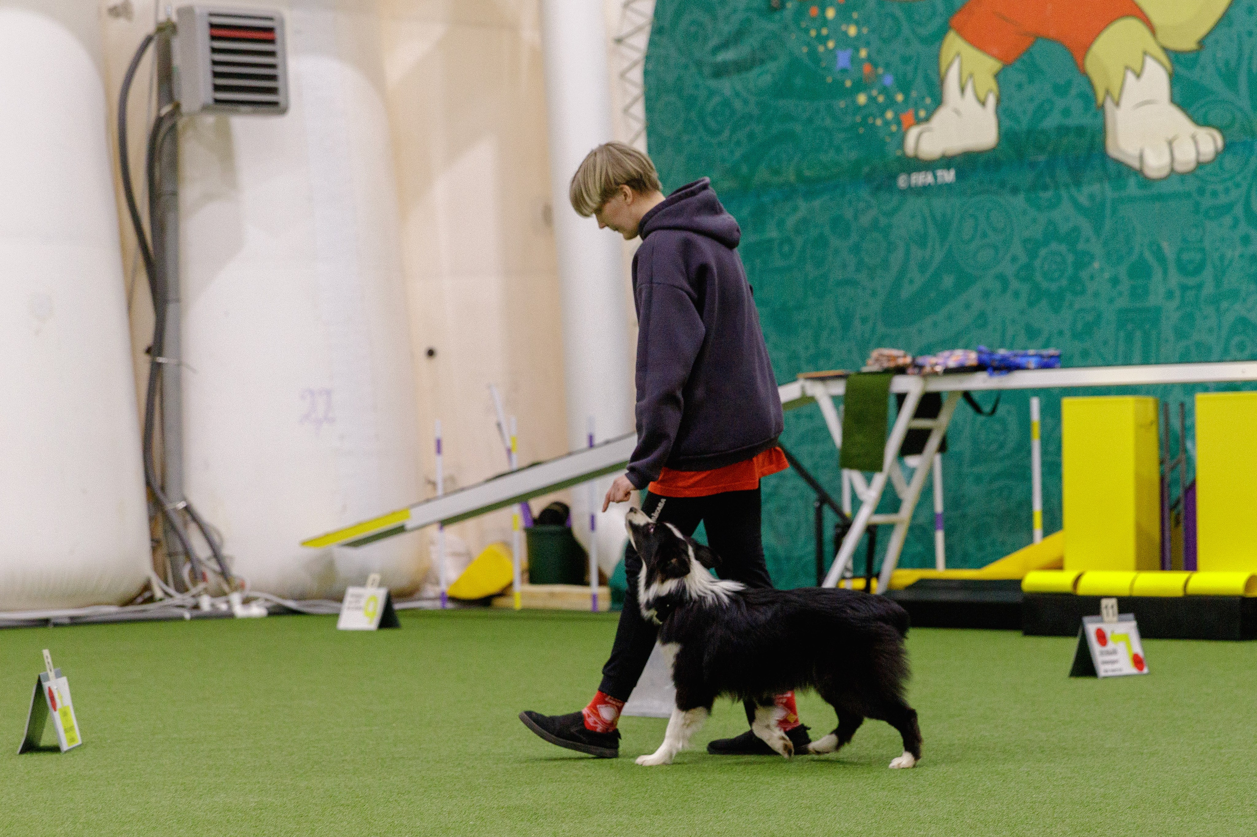 Кубрау. BLGKV питомник собак