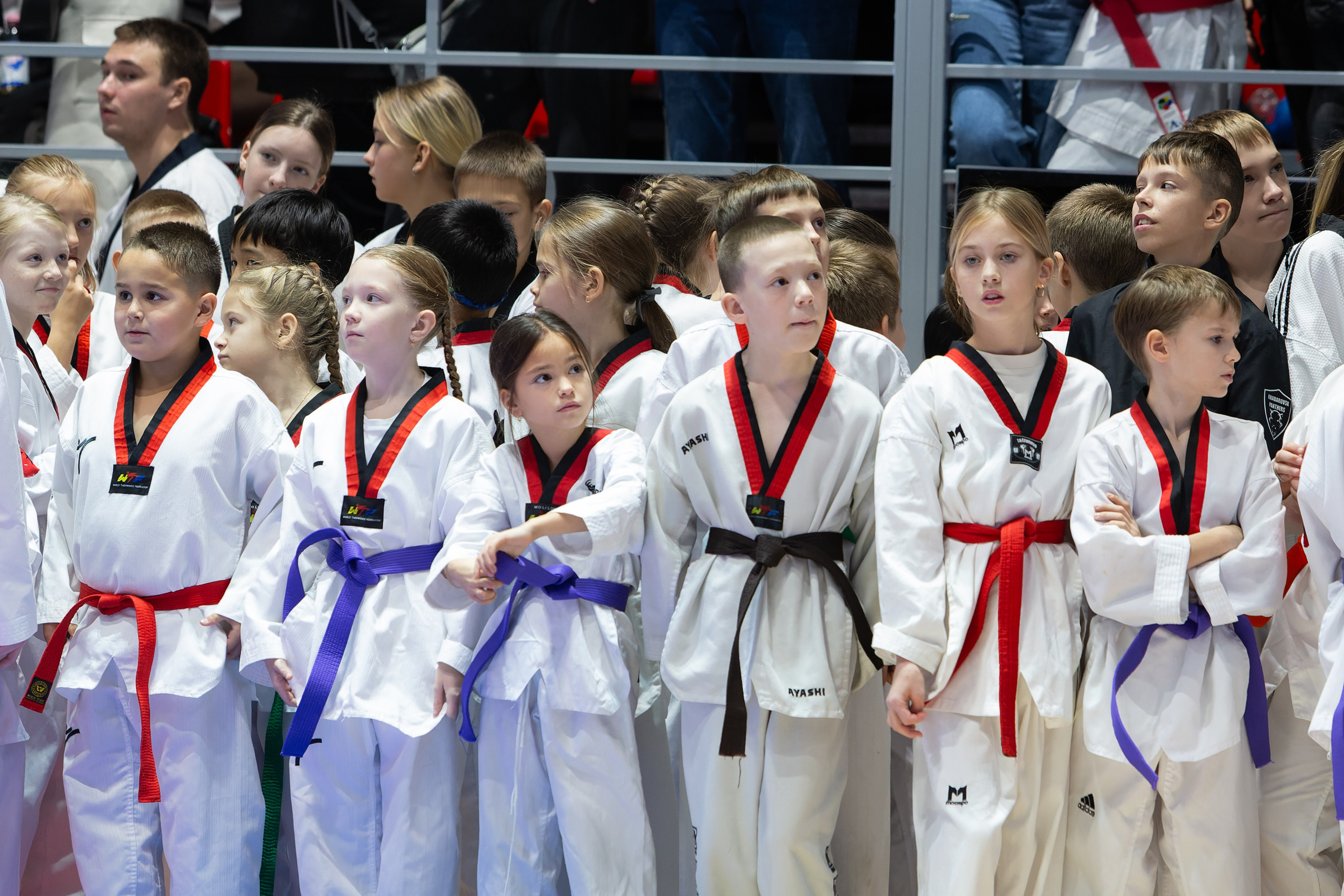 Дальневосточный фестиваль восточных единоборств. Кутузов Евгений Фотограф в Южно-Сахалинске