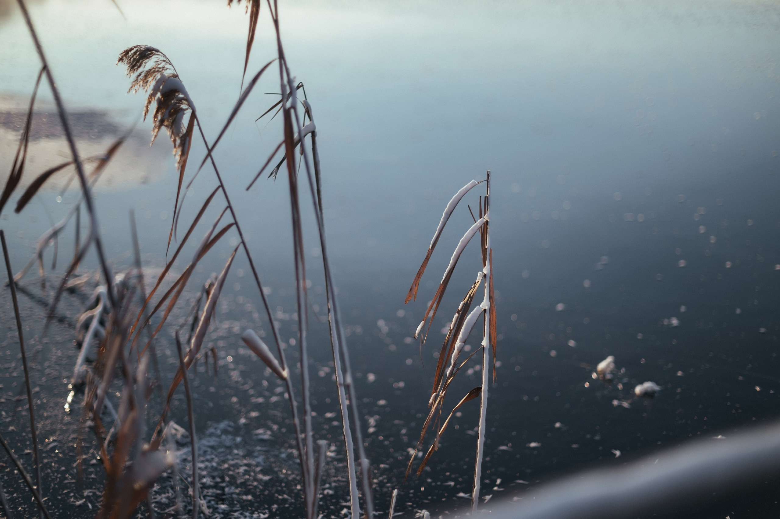 Мария. Зима. Солнечная история. Фотограф Котова Валентина