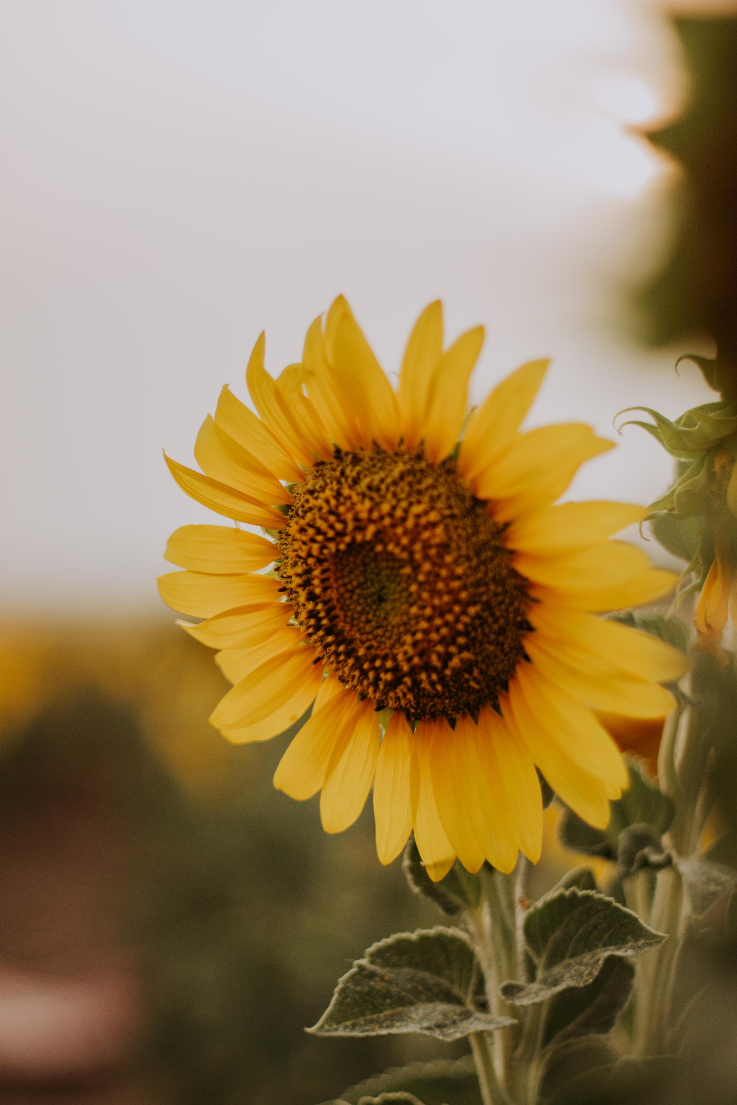 Ирина. Фотограф в Большой Черниговка, Самаре. Некрасова Виктория