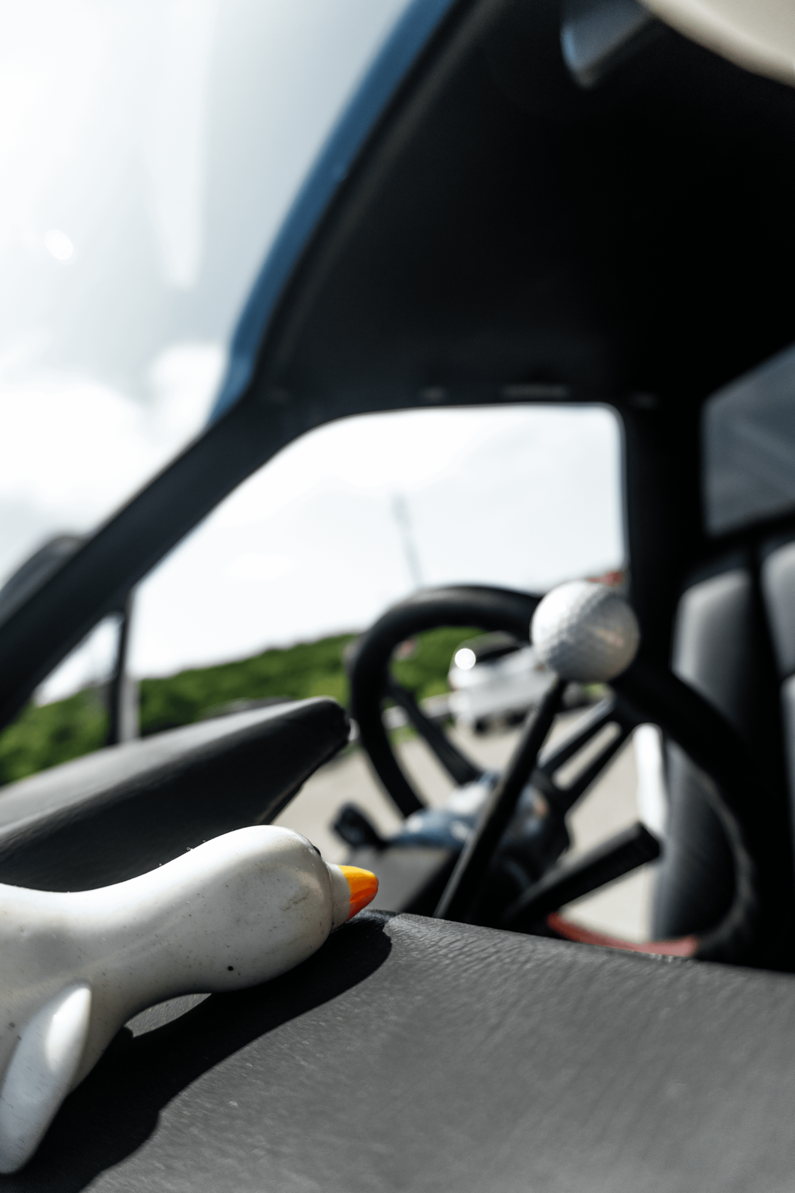 Nissan Datsun: наземная яхта