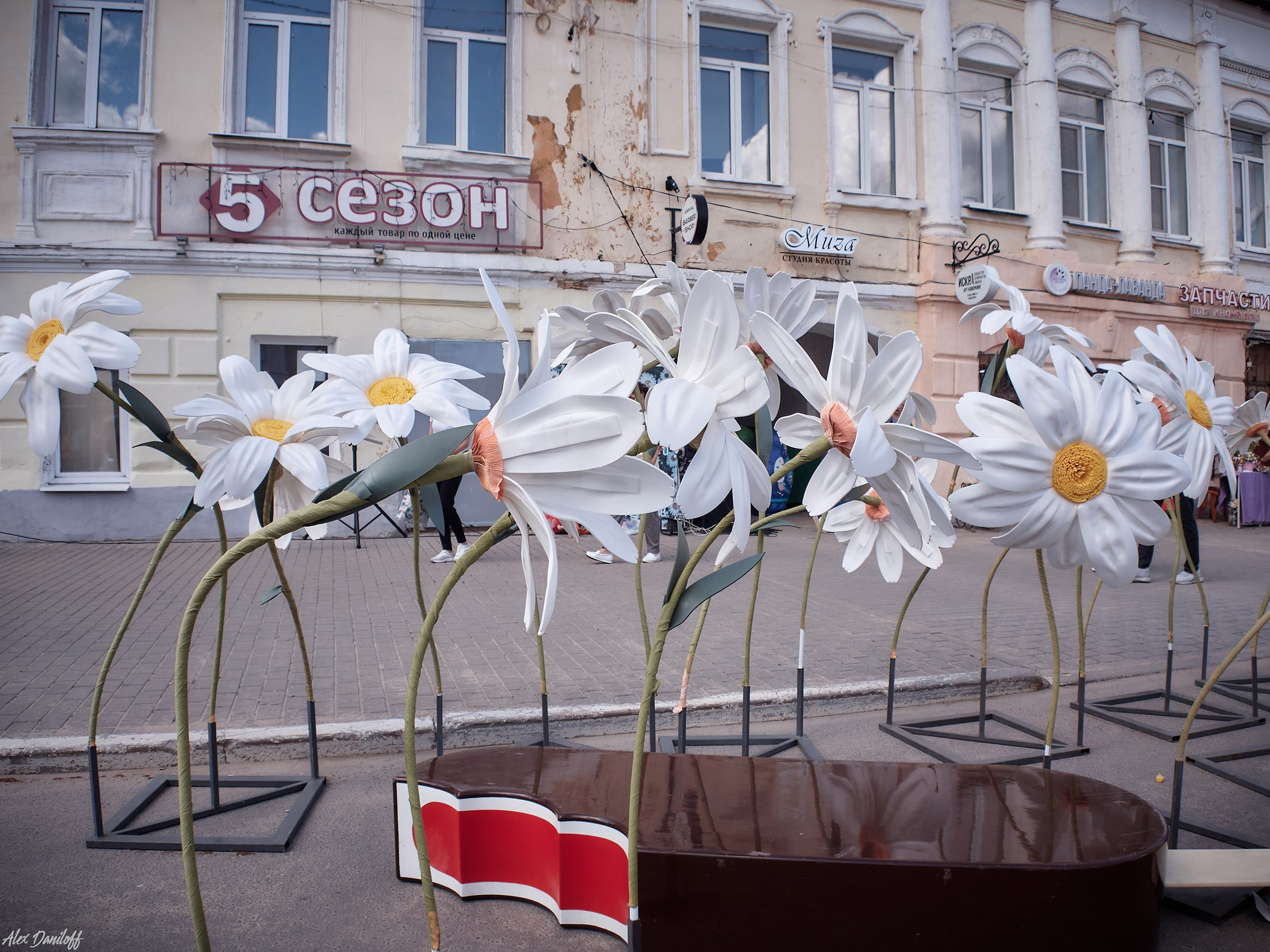 День семьи, любви и верности 2025. Муром-Инфо. Новости культуры, образования, спорта в городе Муром