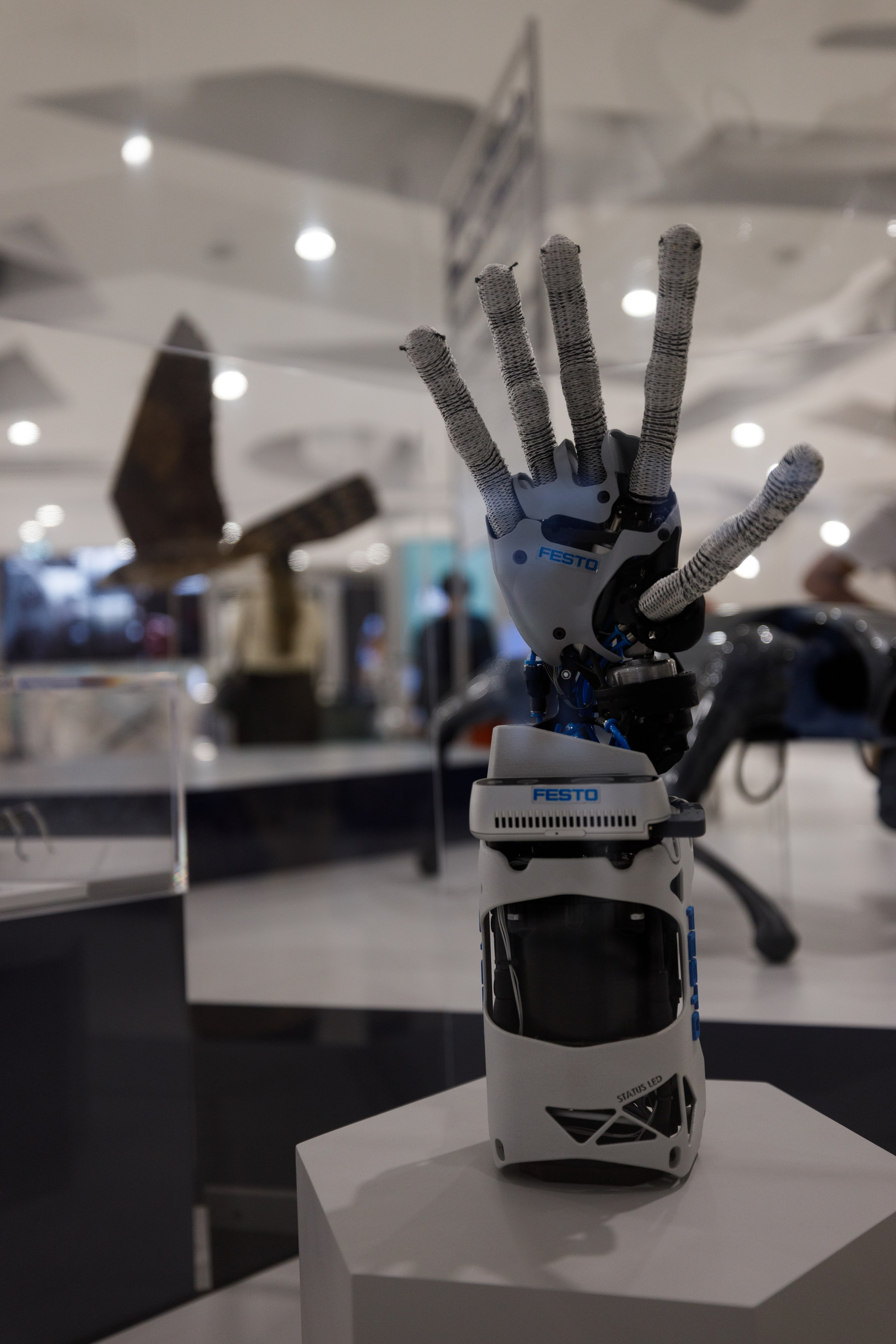 Дубай 2023. Руслан Плахтеев