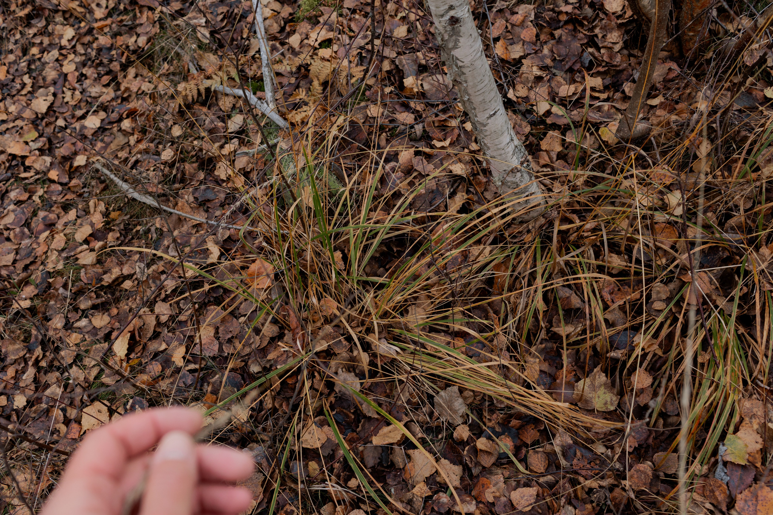 Съемка для глемпинг-отеля Хюгге Кэмп. Природа. Саша Кушнерова Фотографии. Sasha Kushnerova Photos