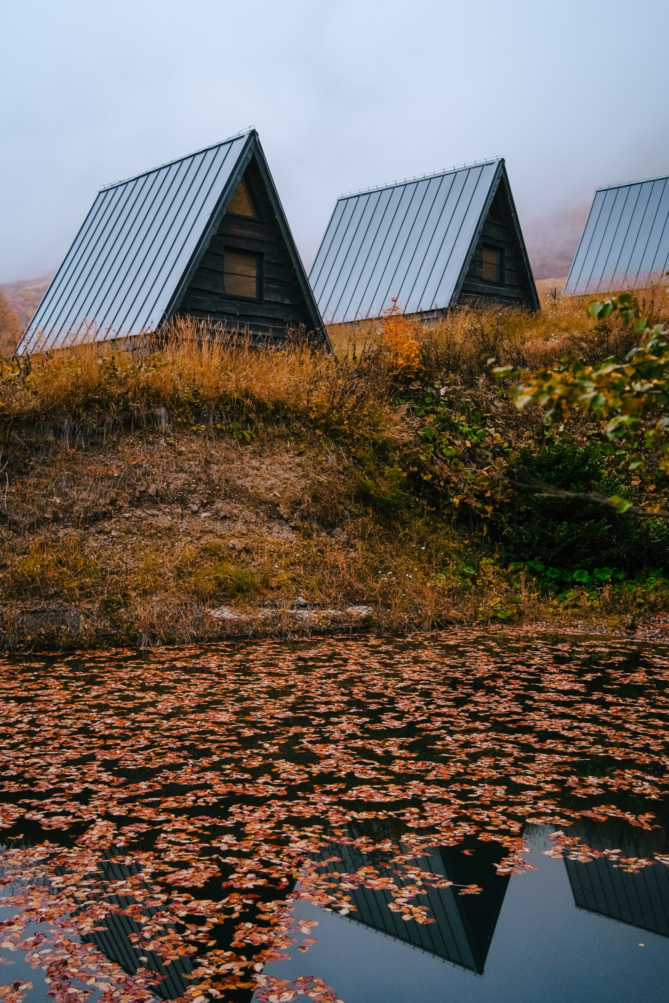 Роза Пик, тропа Турья ✽ Октябрь. Репортажный фотограф | Роза Хутор Красная Поляна Сочи Сириус