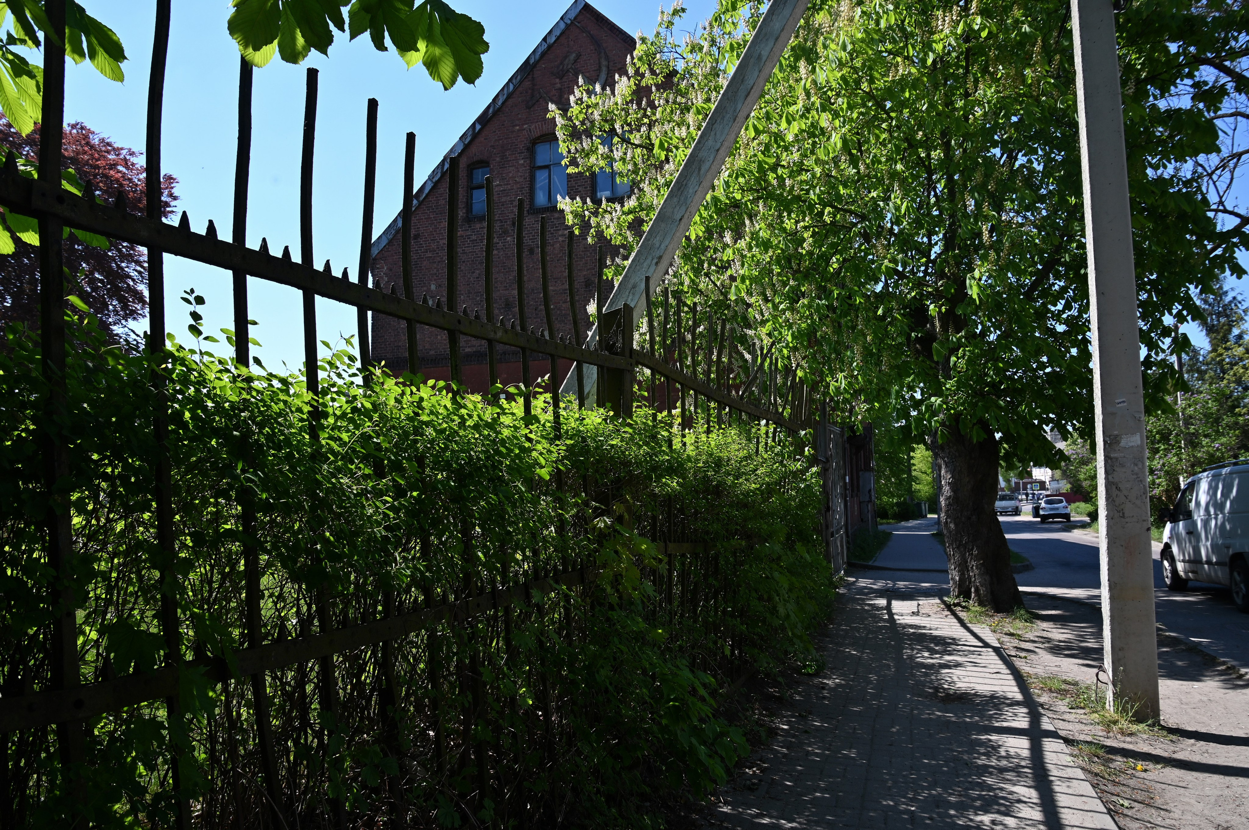 Пейзаж. Дмитрий Старков — фотограф