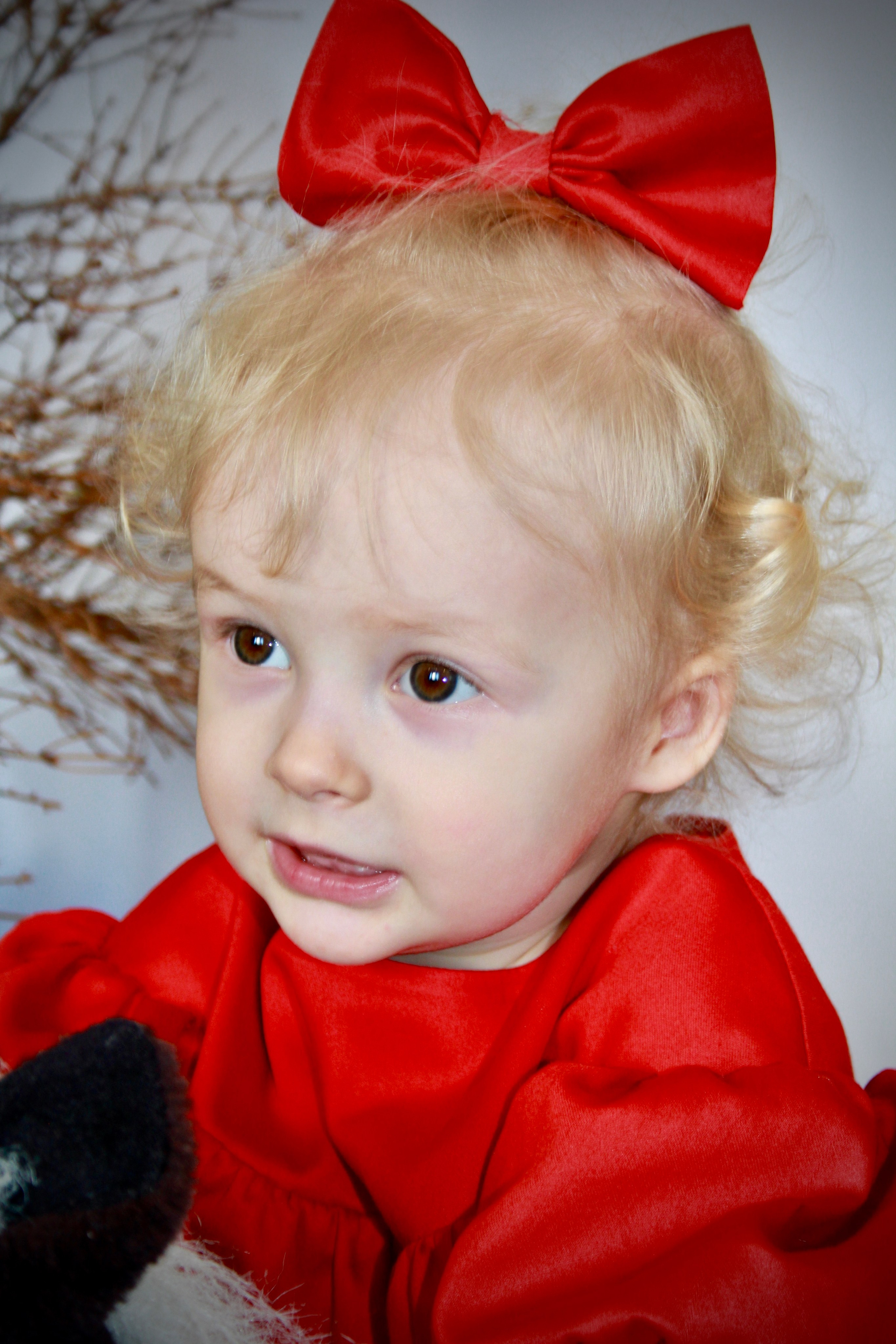 Экспресс фотосъёмки. Портфолио