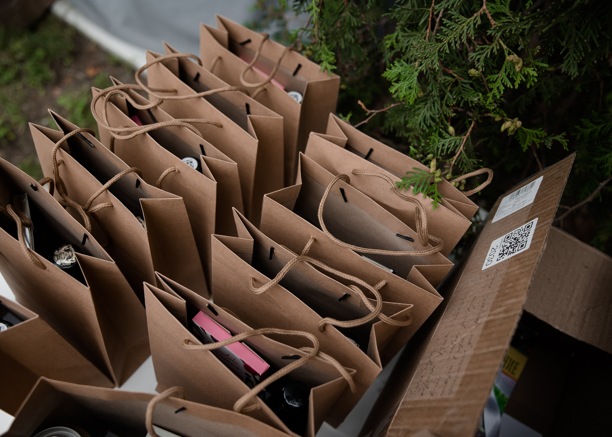 Алина + Паша. Свадебный и семейный фотограф в Саратове Маша Паника