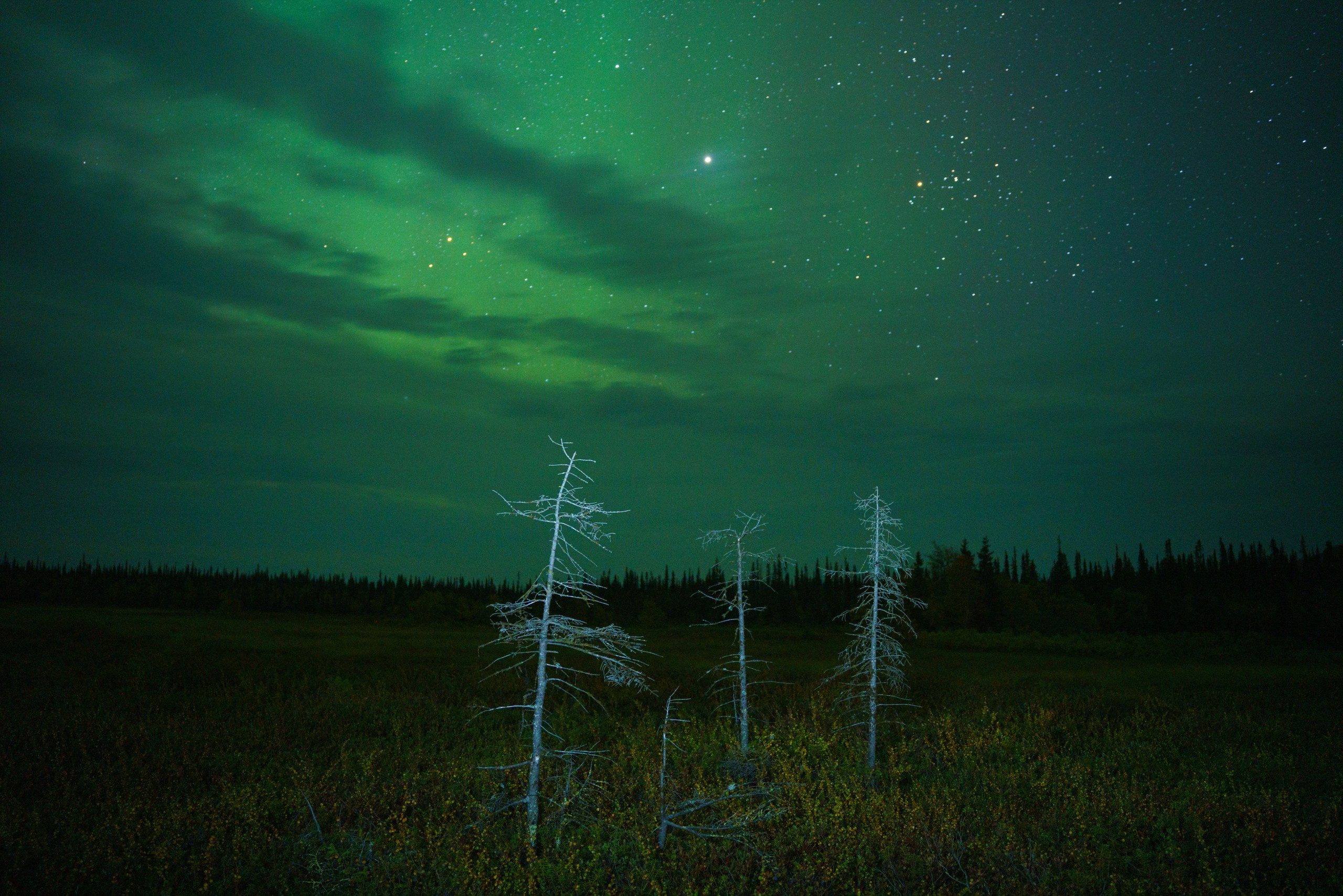 Кольский. Карелия. Фотограф в Красноярске Нерозя Александр. Пейзаж, природа, портрет
