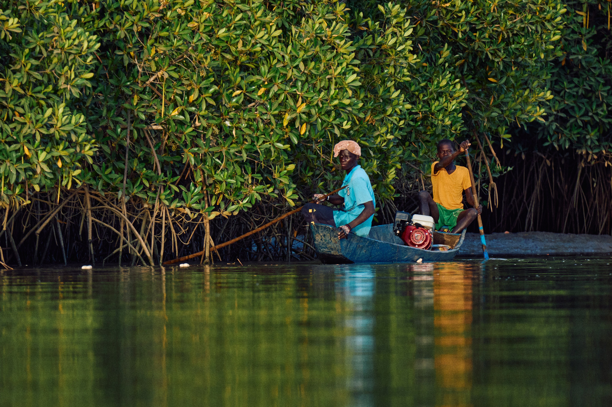 Gambia River. See the moment and catche. commercial and reportage